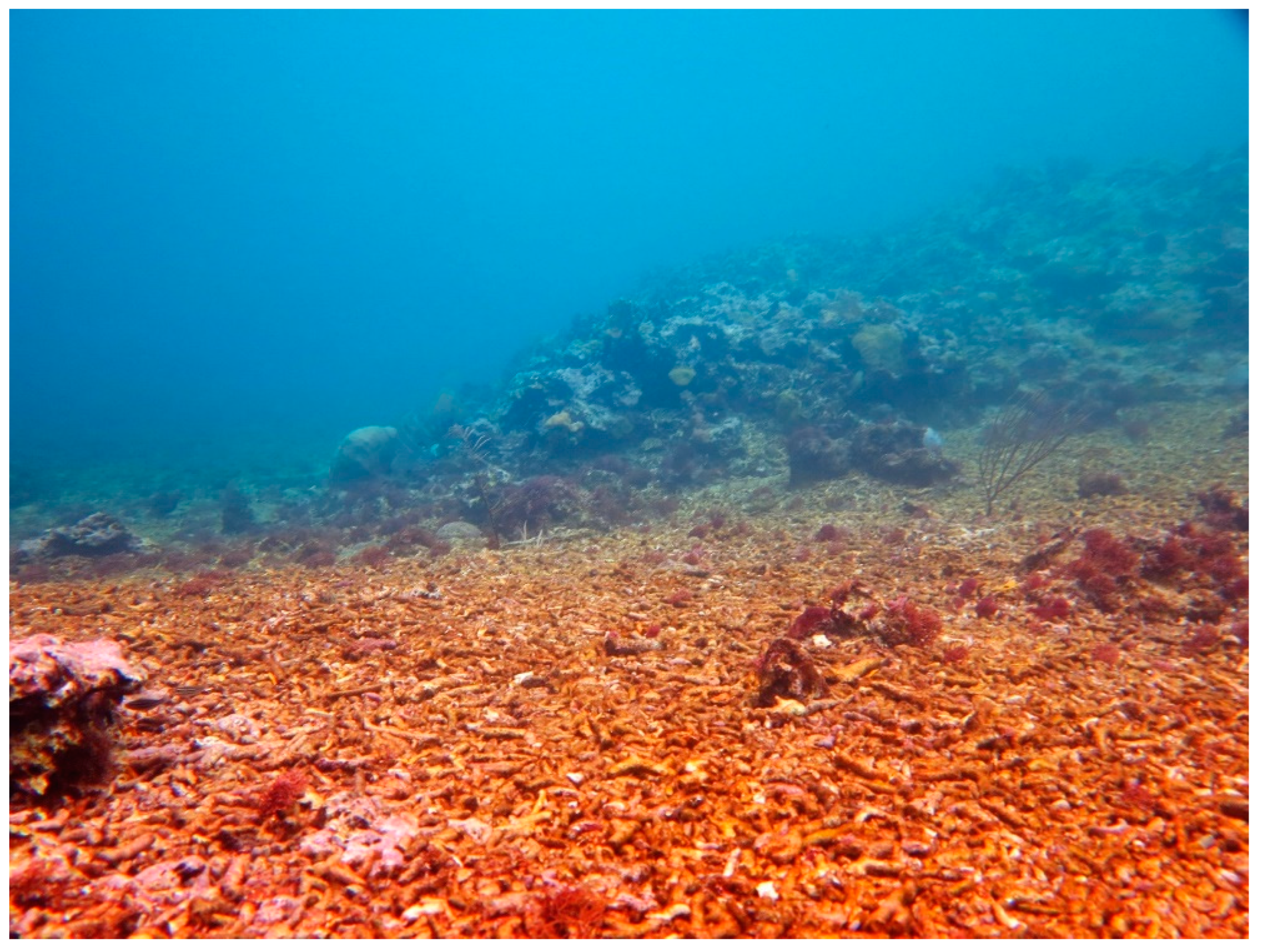 Sustainability 16 01506 g0a21