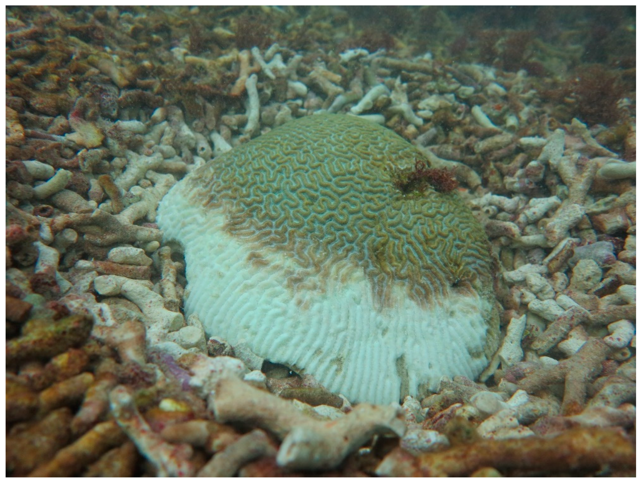 Sustainability 16 01506 g0a22