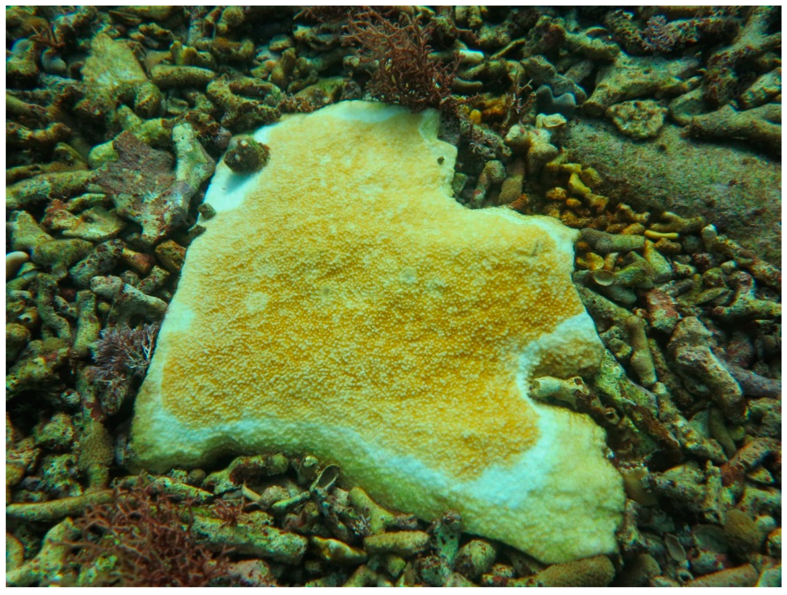 Sustainability 16 01506 g0a24