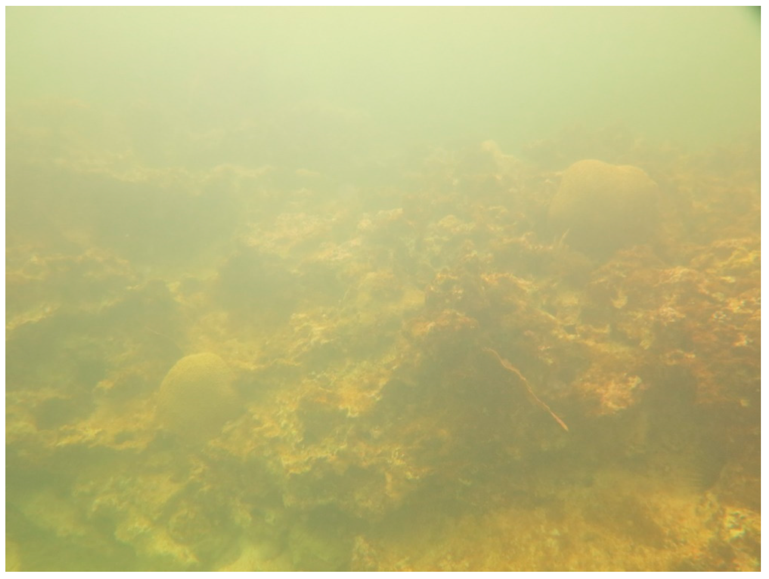 Sustainability 16 01506 g0a25