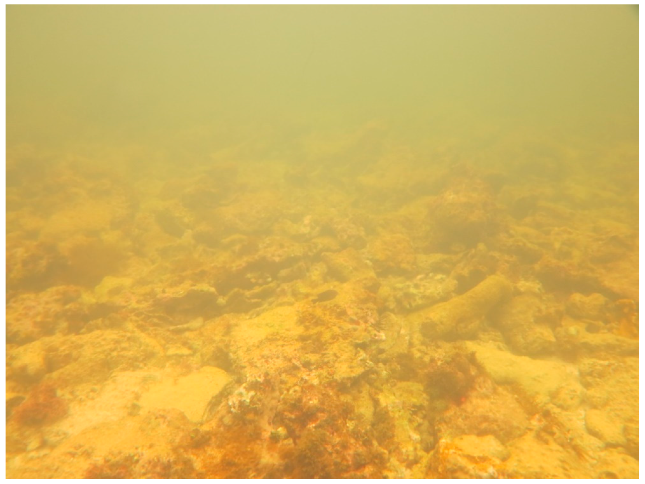 Sustainability 16 01506 g0a26