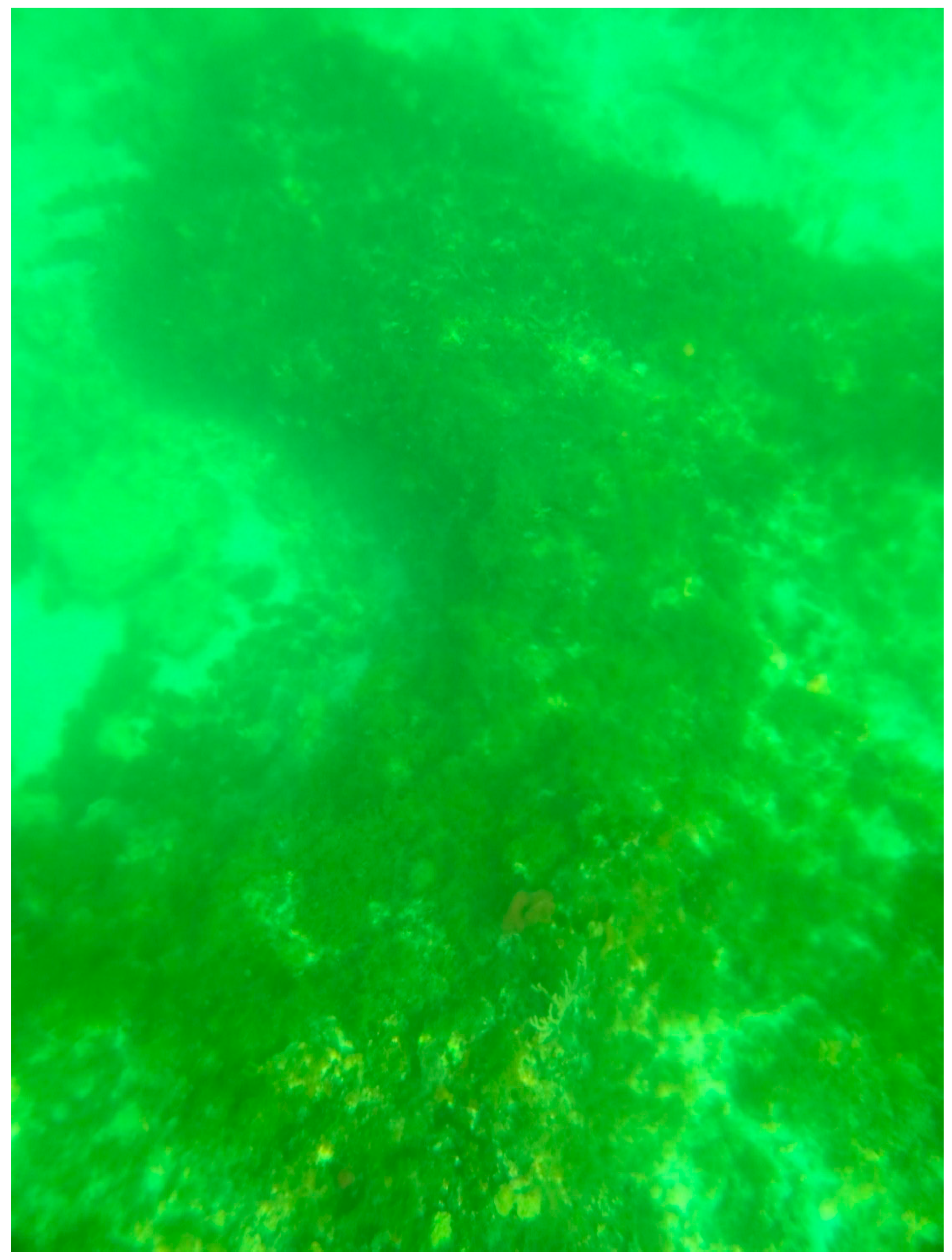 Sustainability 16 01506 g0a28