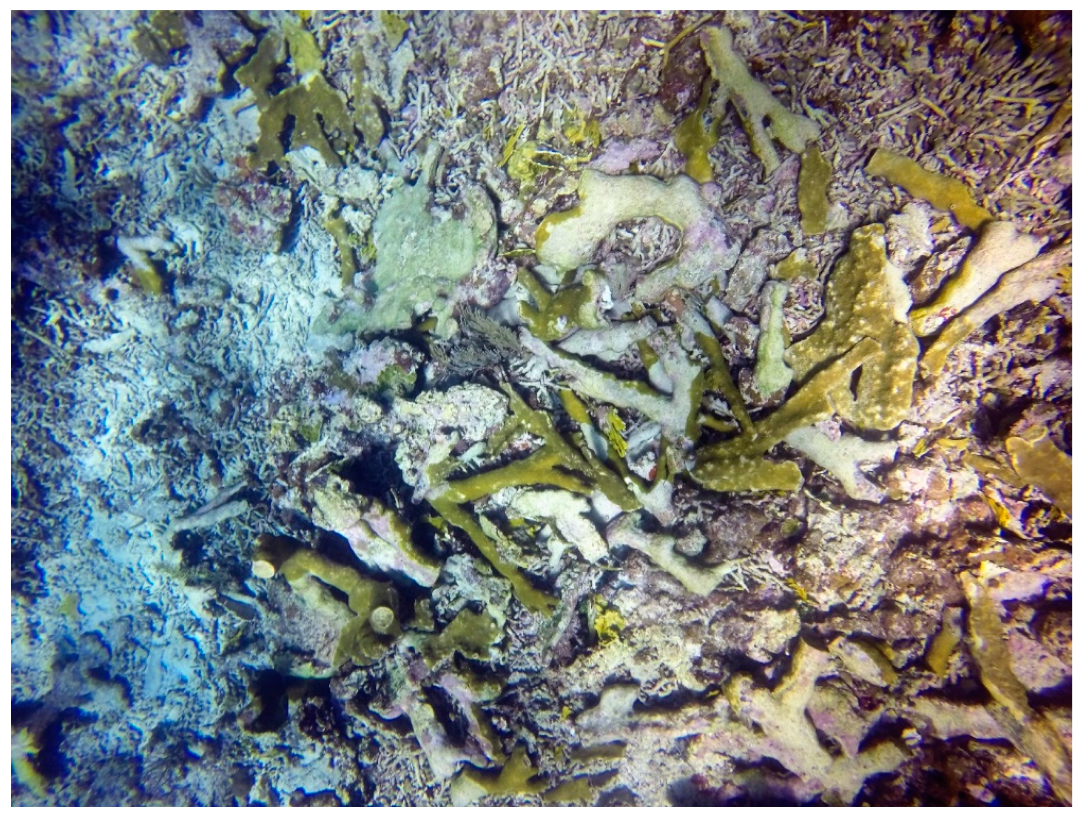 Sustainability 16 01506 g0a3