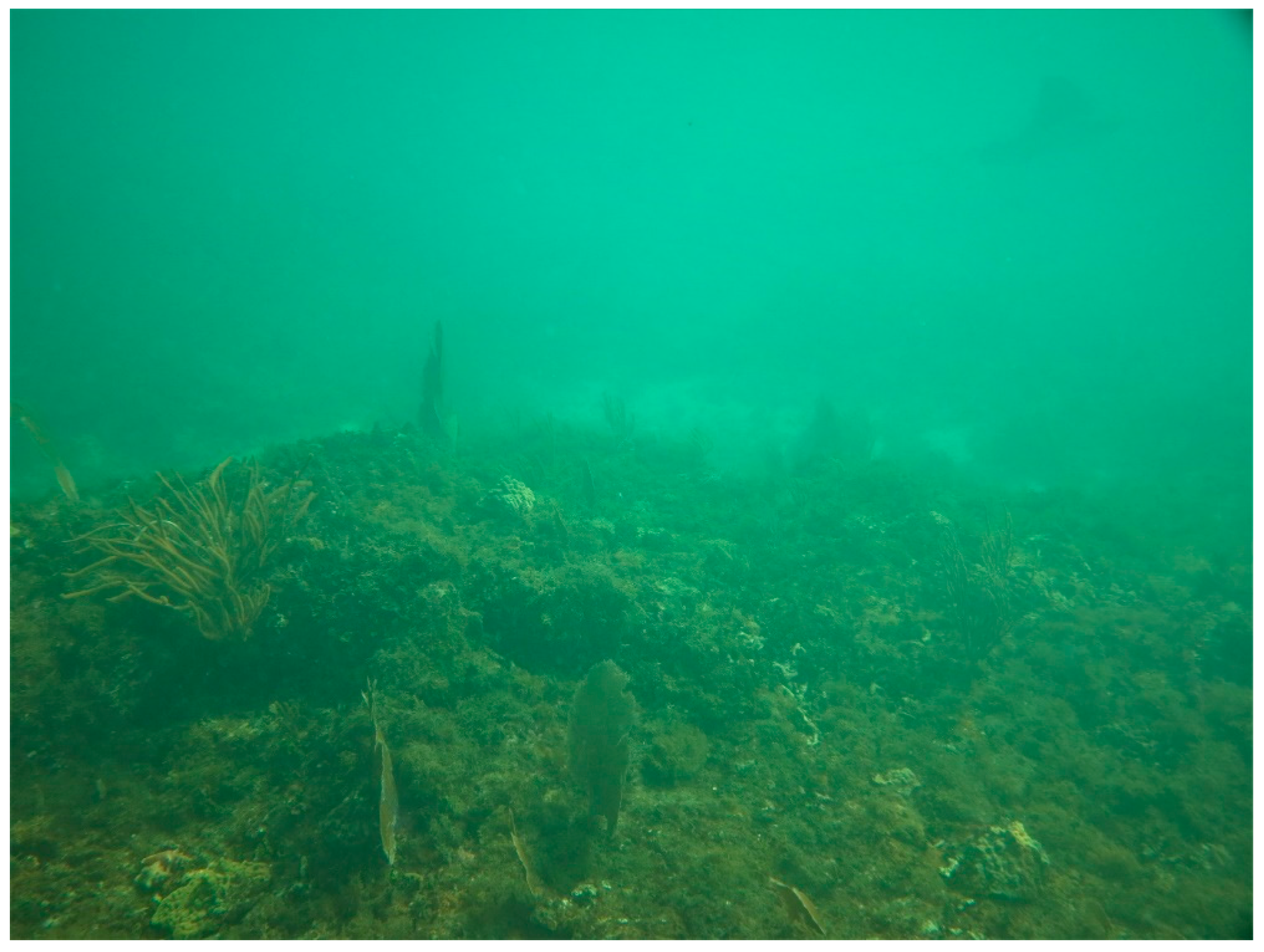 Sustainability 16 01506 g0a30