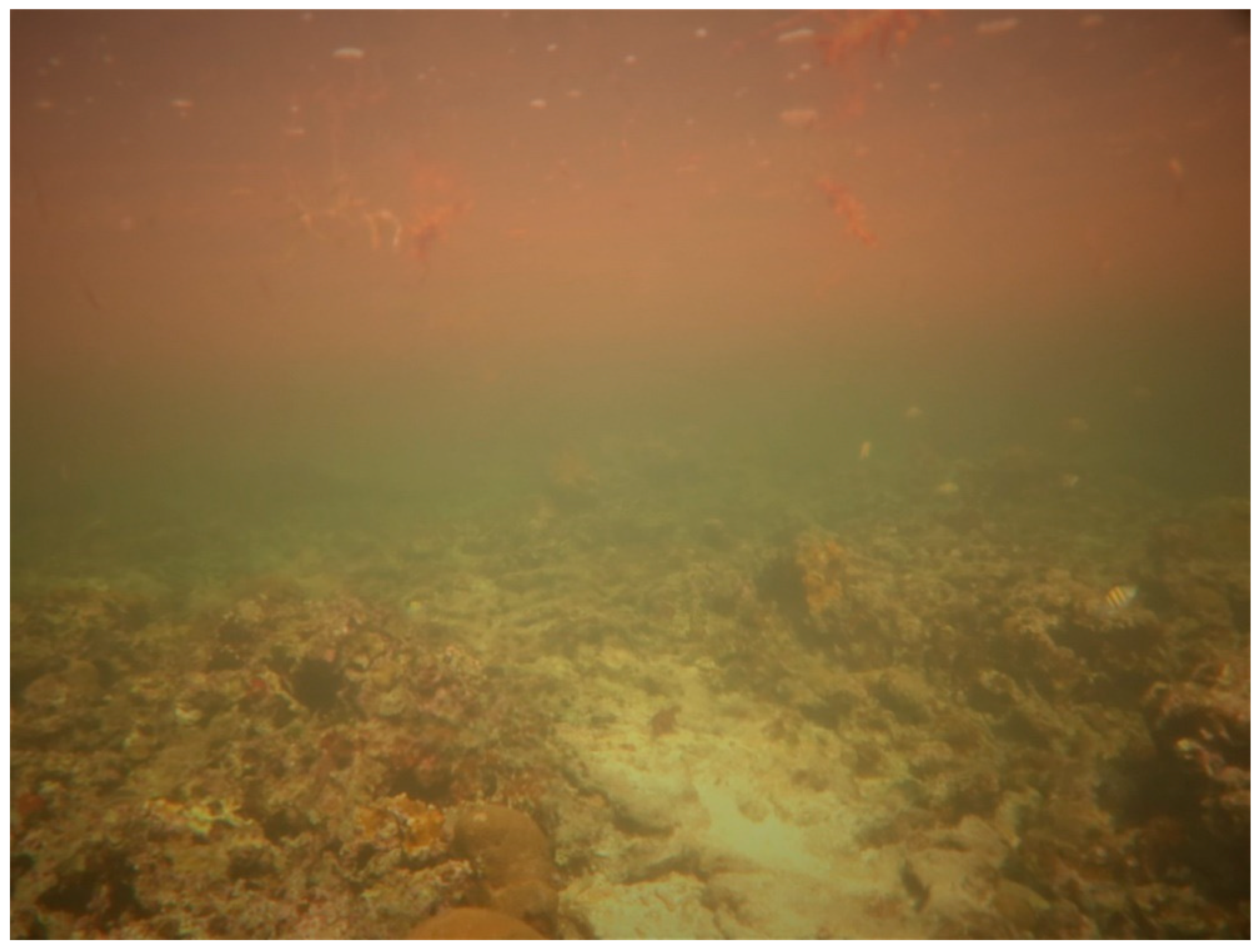 Sustainability 16 01506 g0a31