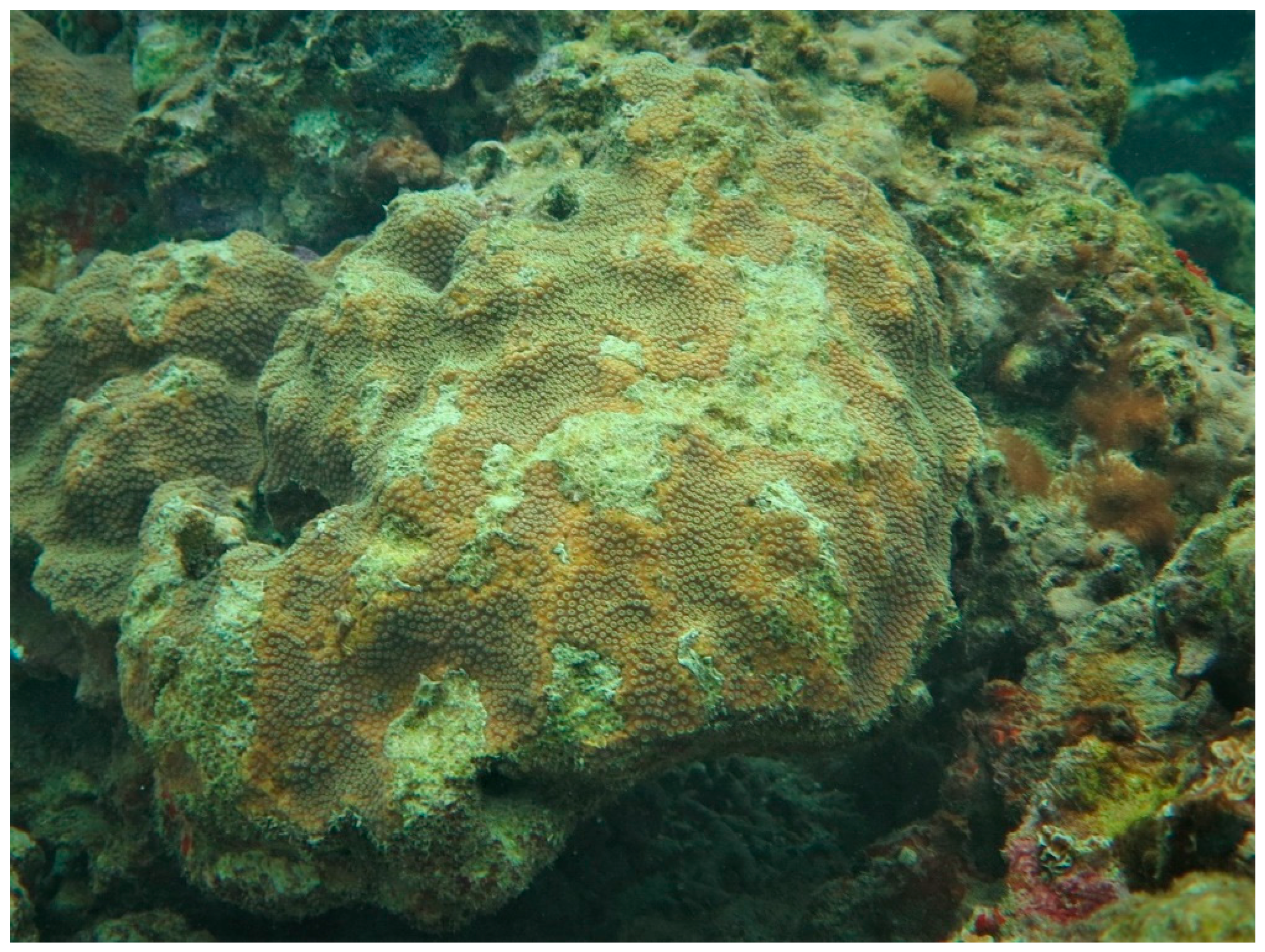 Sustainability 16 01506 g0a32