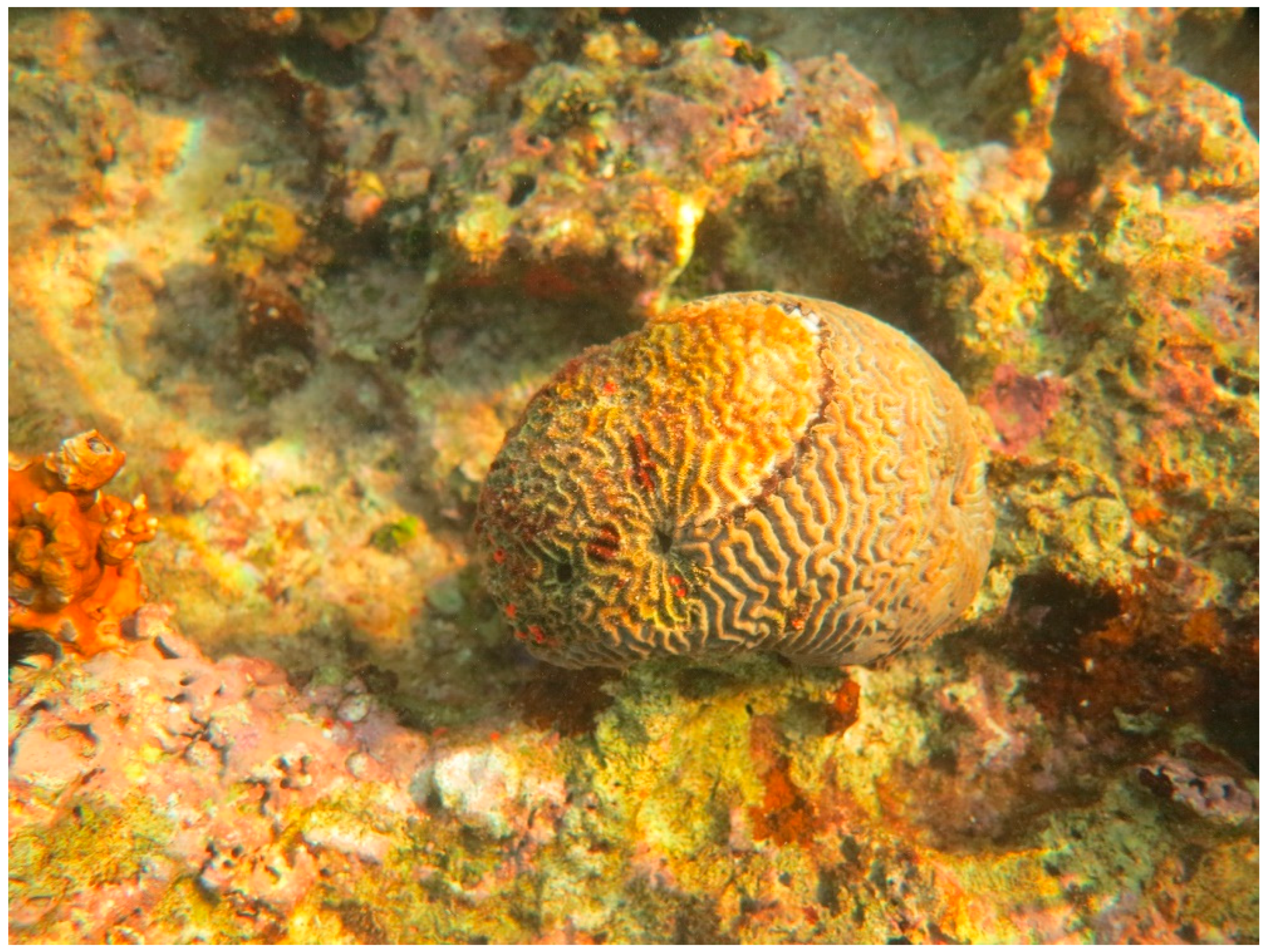 Sustainability 16 01506 g0a33