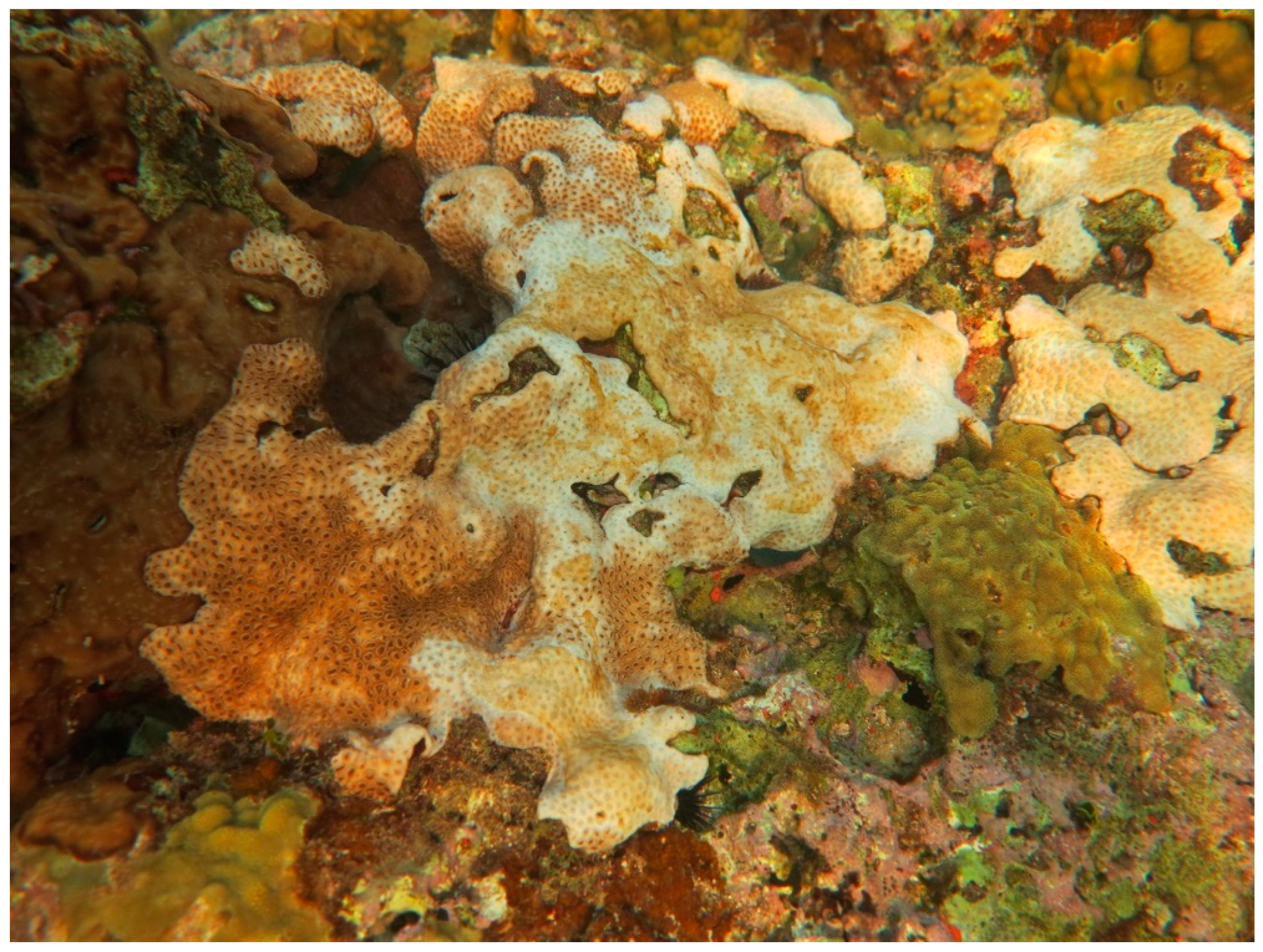 Sustainability 16 01506 g0a35