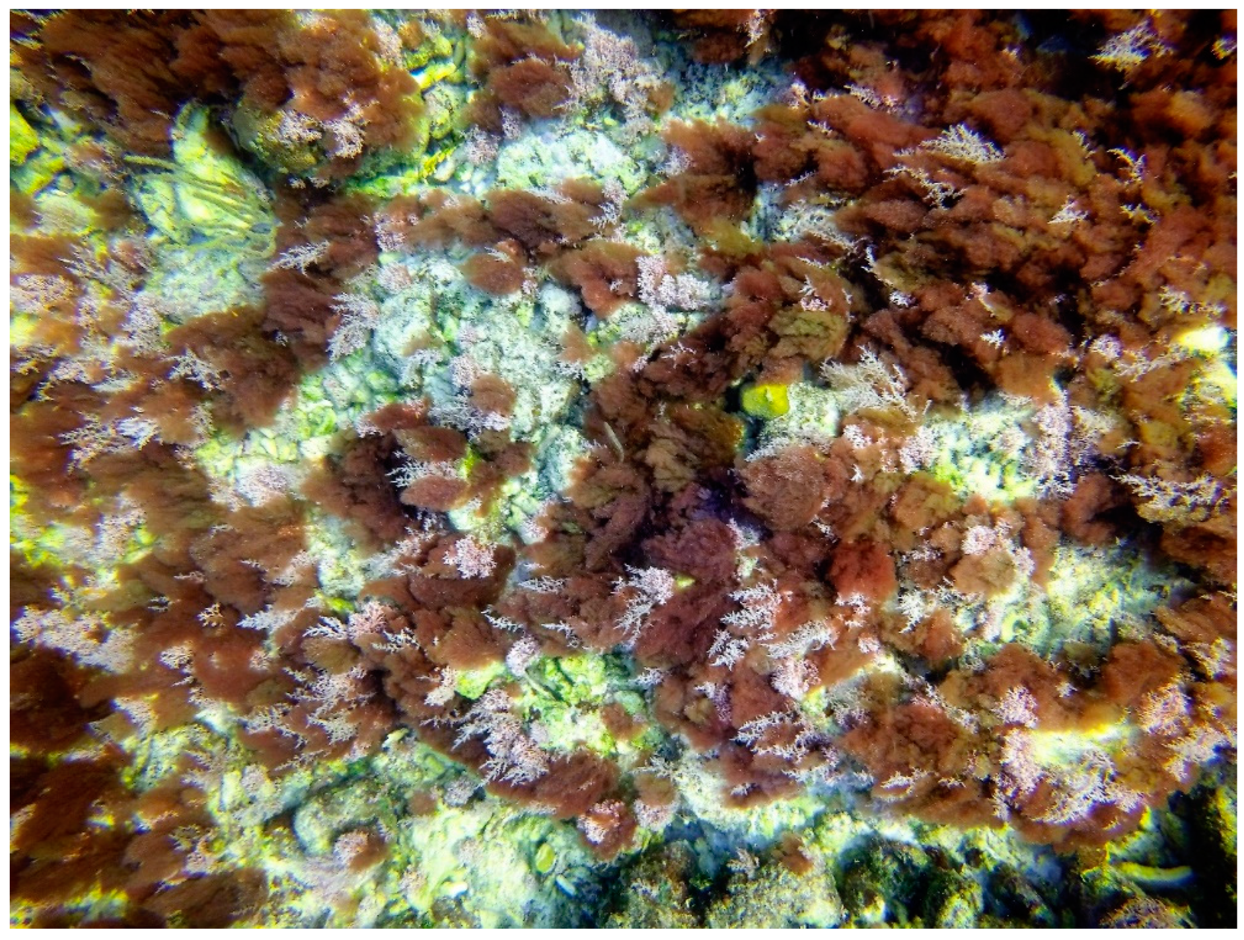 Sustainability 16 01506 g0a37