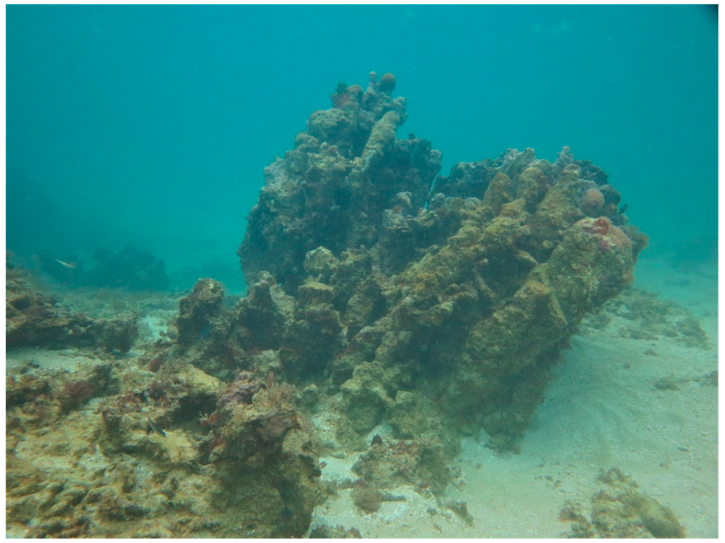 Sustainability 16 01506 g0a38