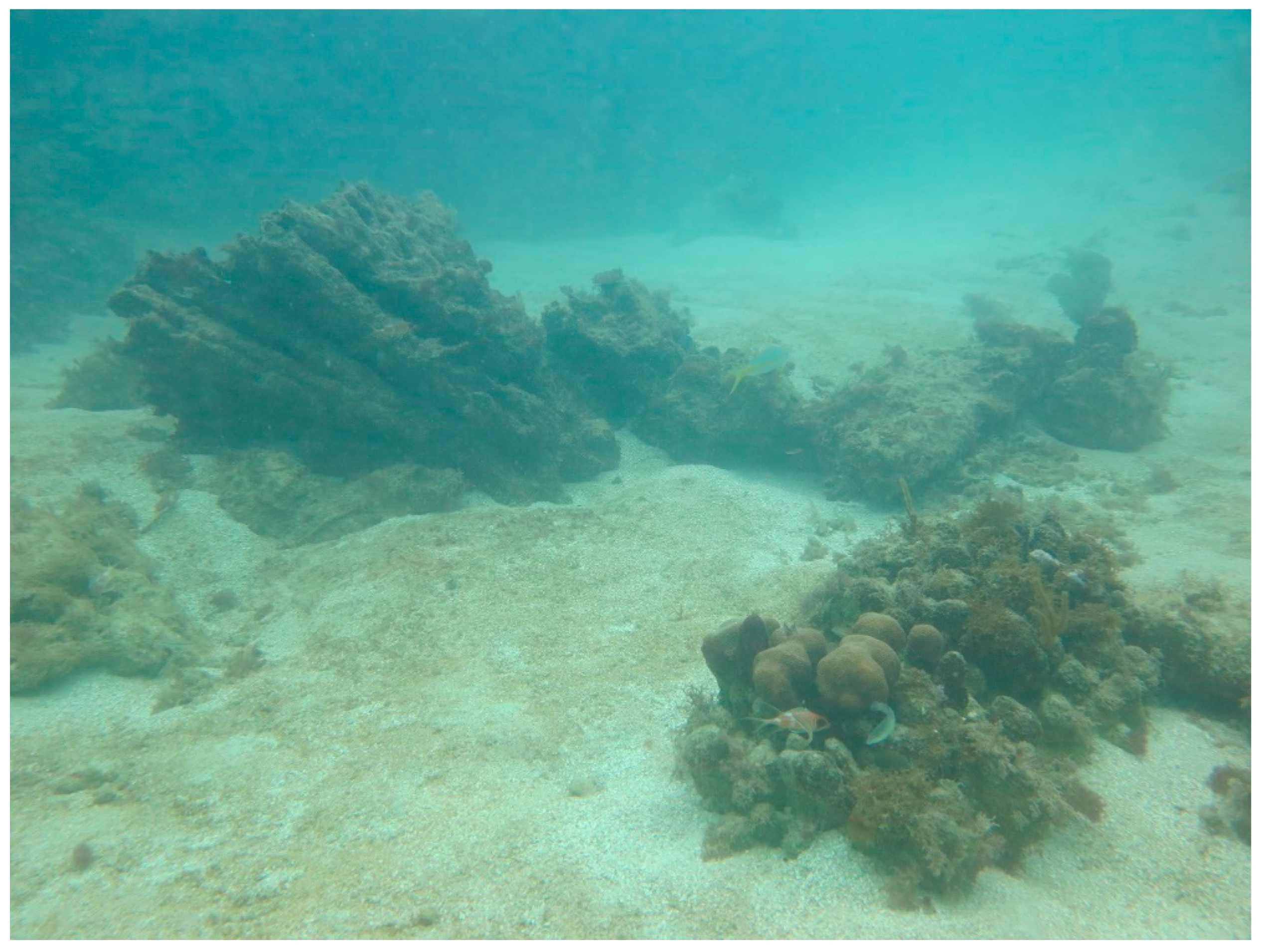 Sustainability 16 01506 g0a39