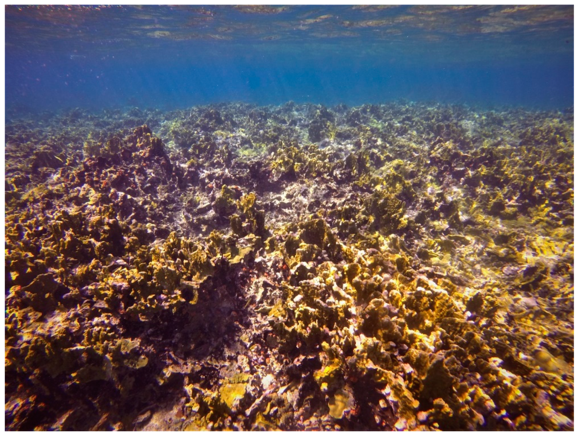 Sustainability 16 01506 g0a4