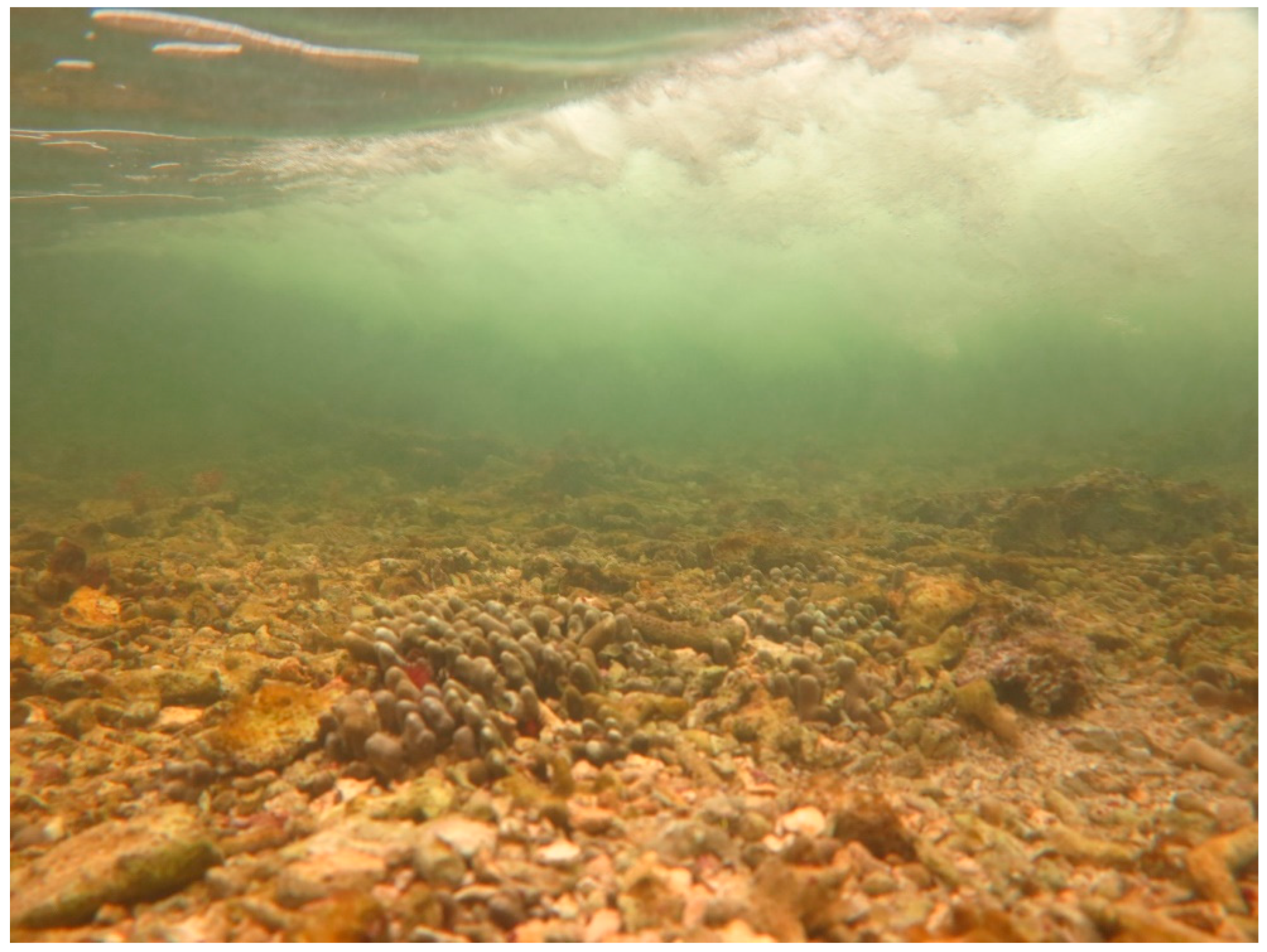 Sustainability 16 01506 g0a41