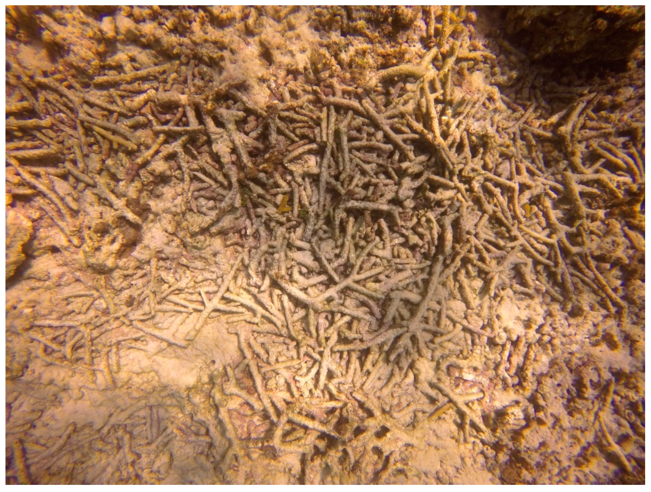 Sustainability 16 01506 g0a6