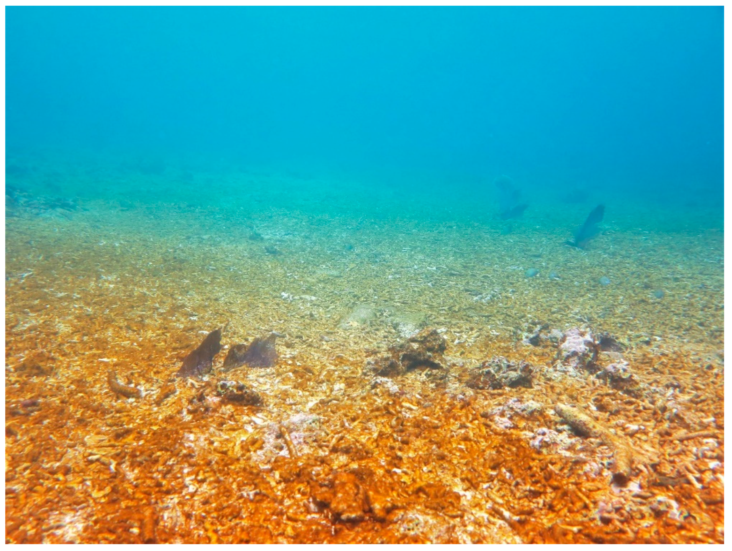 Sustainability 16 01506 g0a7