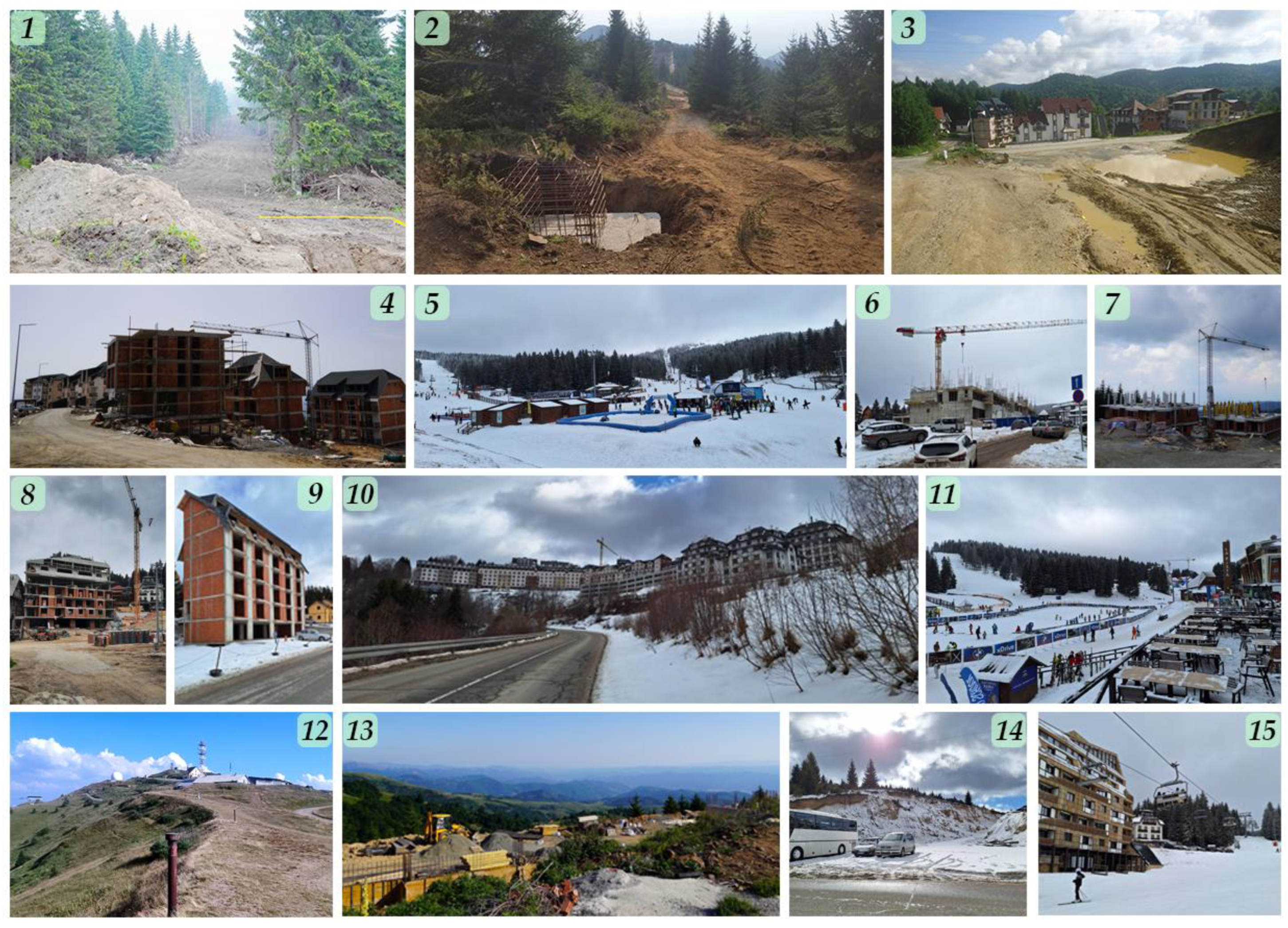 Sustainability 16 01509 g004