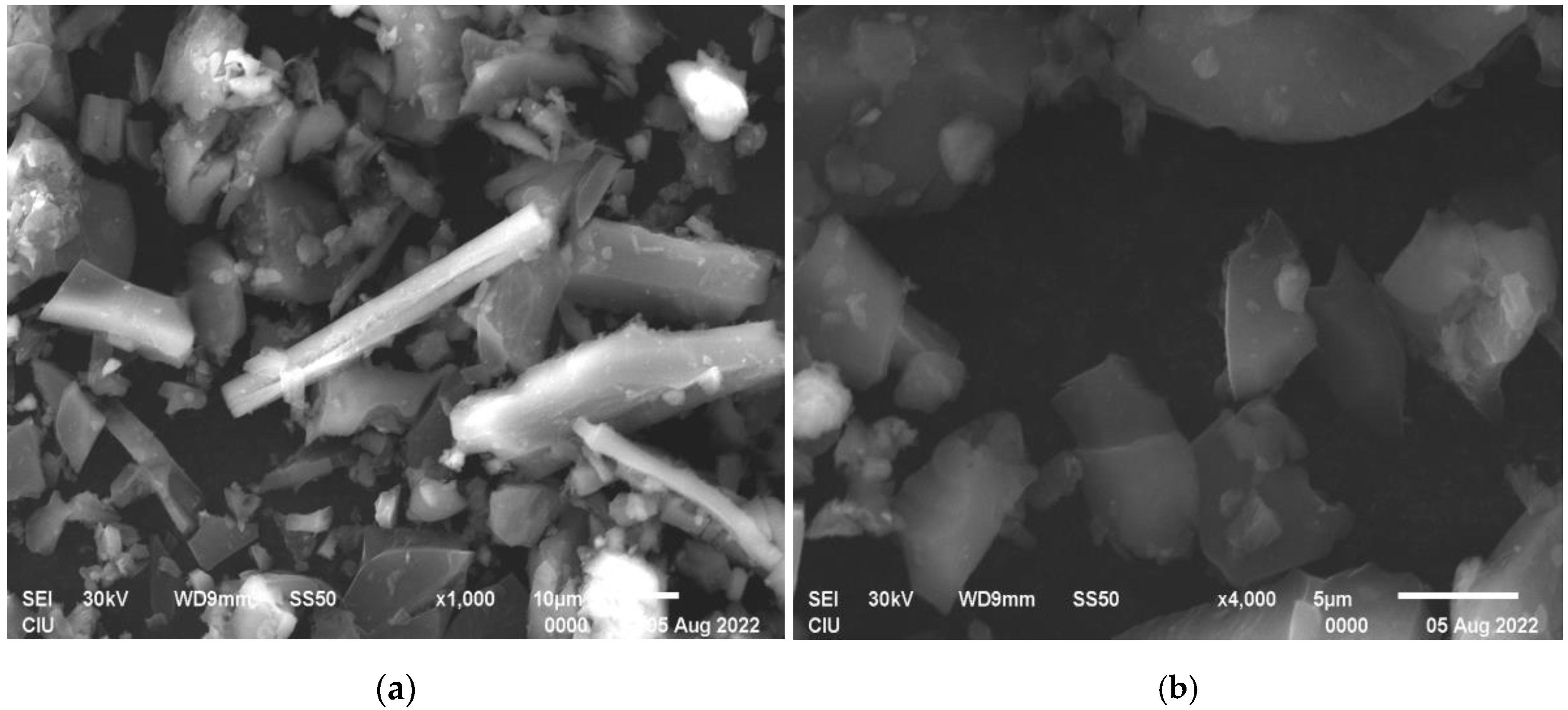 Sustainability 16 01522 g003