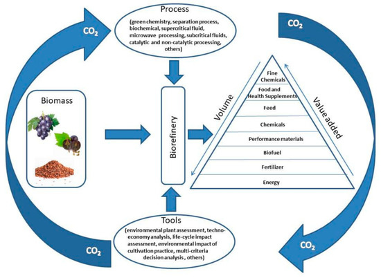 Sustainable Biocomposites: Harnessing the Potential of Waste