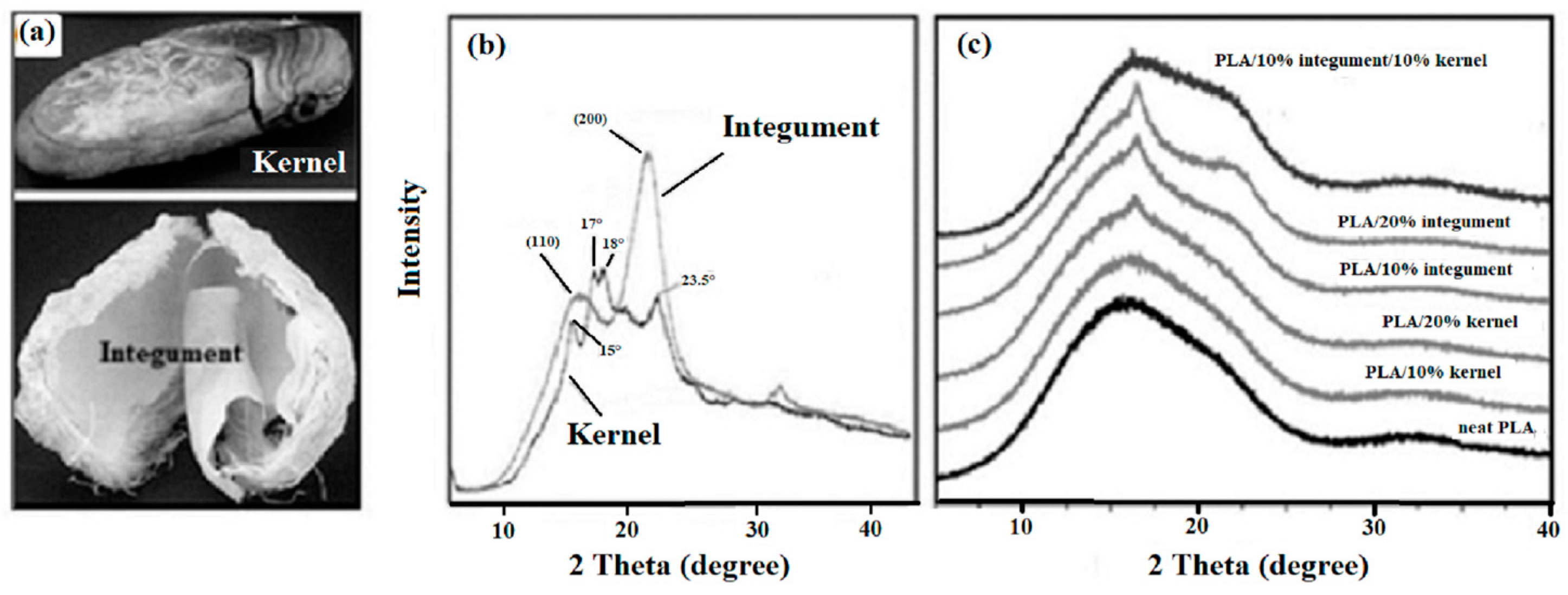 Sustainability 16 01526 g005