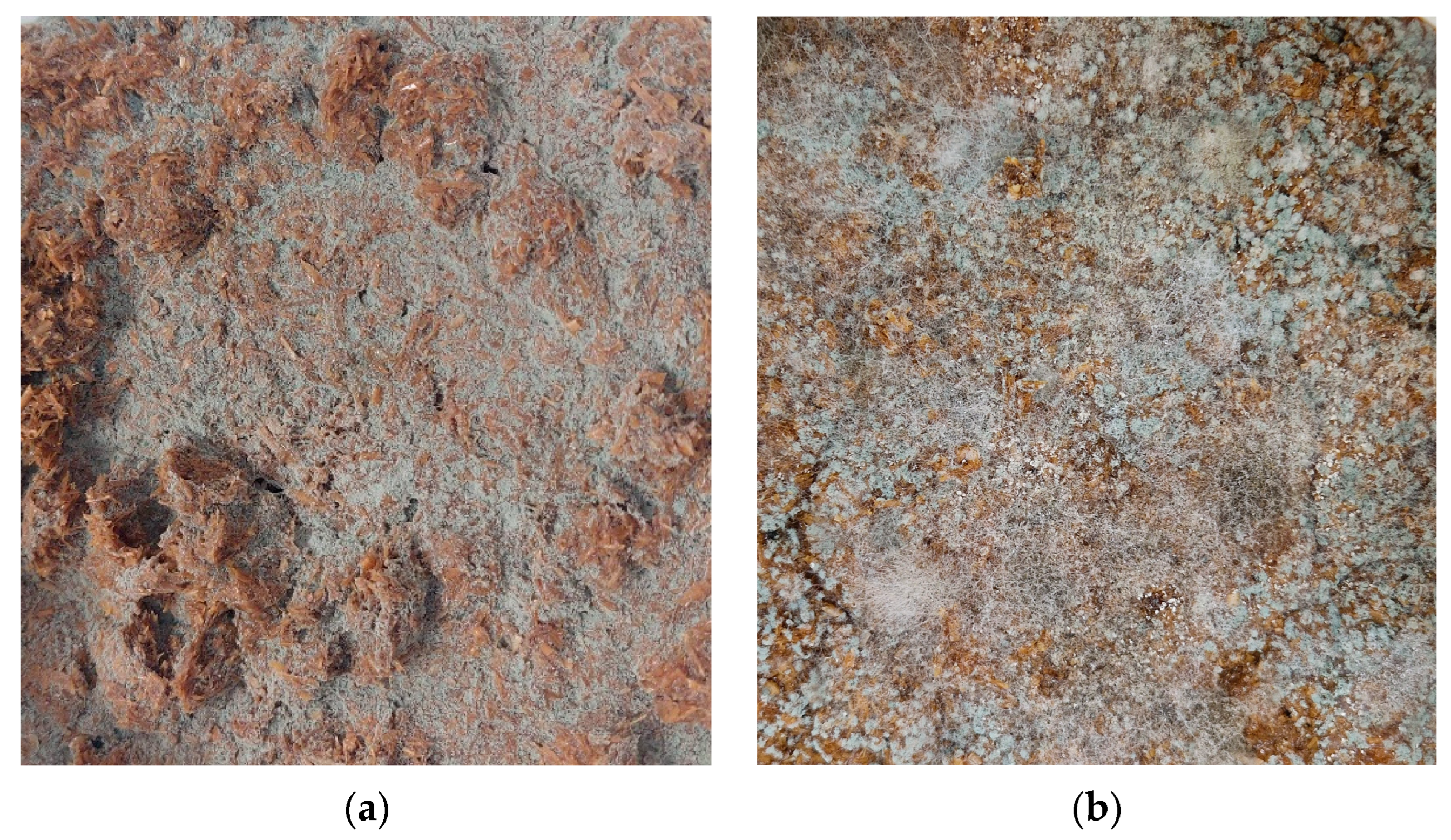 Sustainability 16 01553 g002