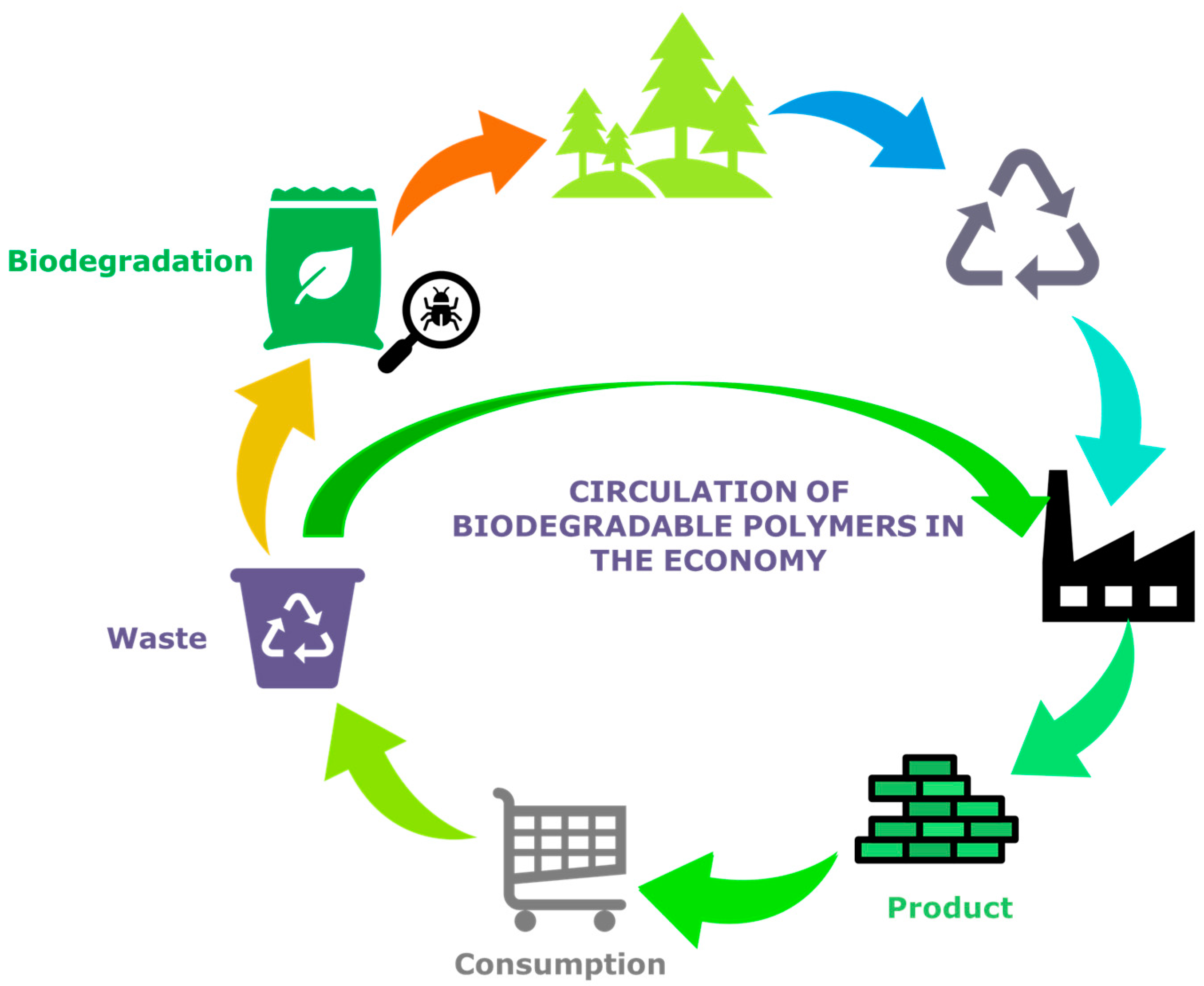 Sustainability 16 01555 g001