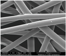 Sustainability 16 01555 i002