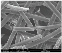 Sustainability 16 01555 i004