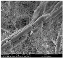 Sustainability 16 01555 i010