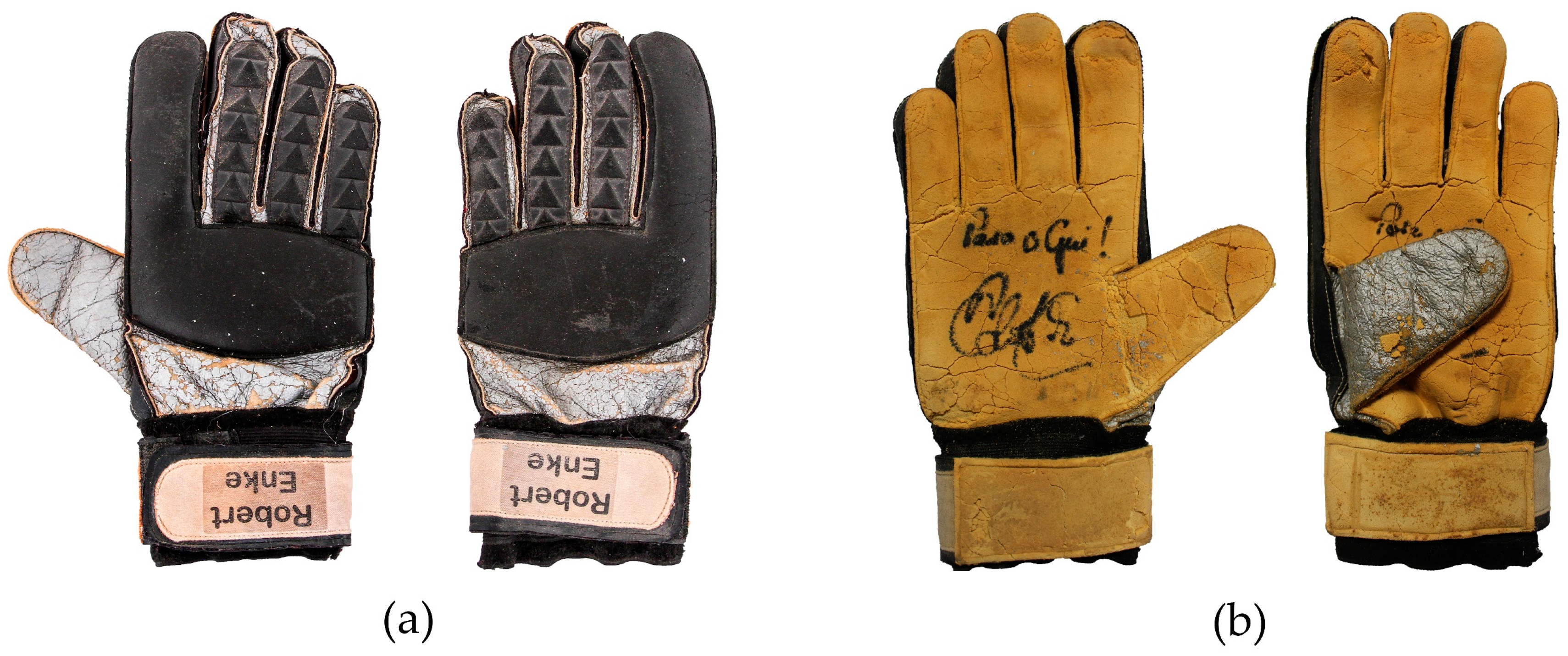 Research goalkeeper gloves sale
