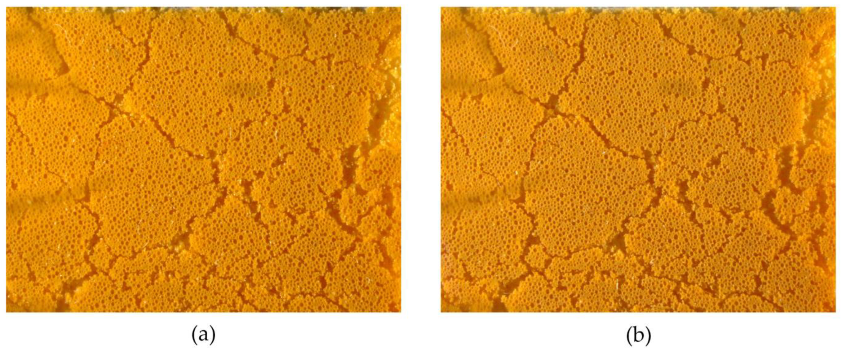 Sustainability 16 01562 g003