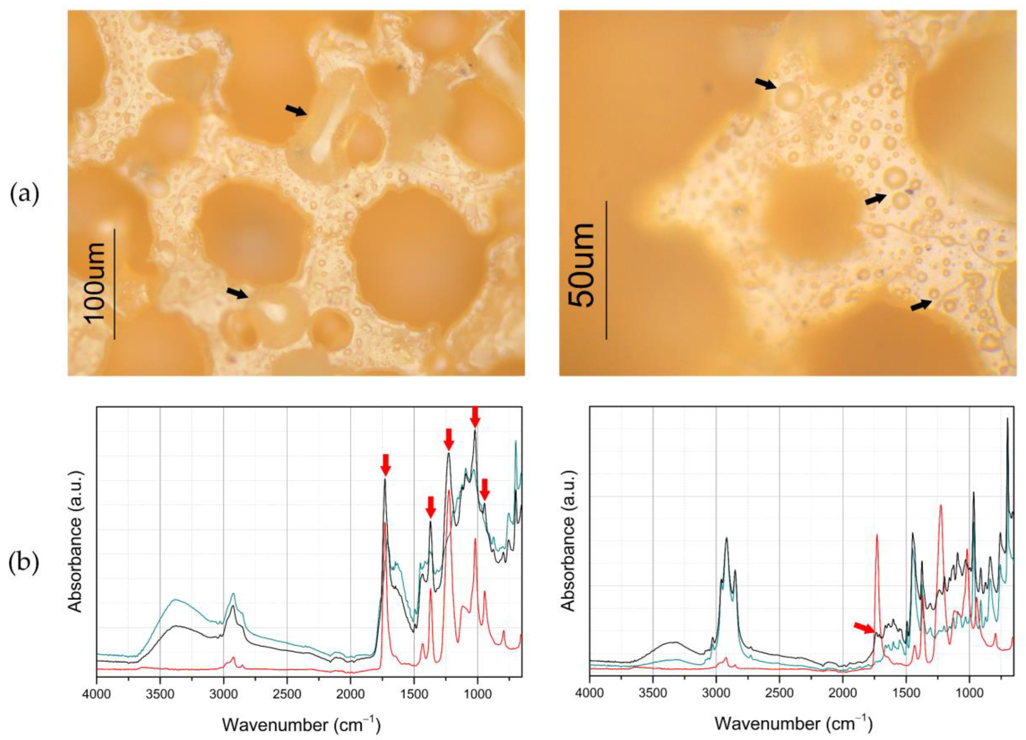Sustainability 16 01562 g008