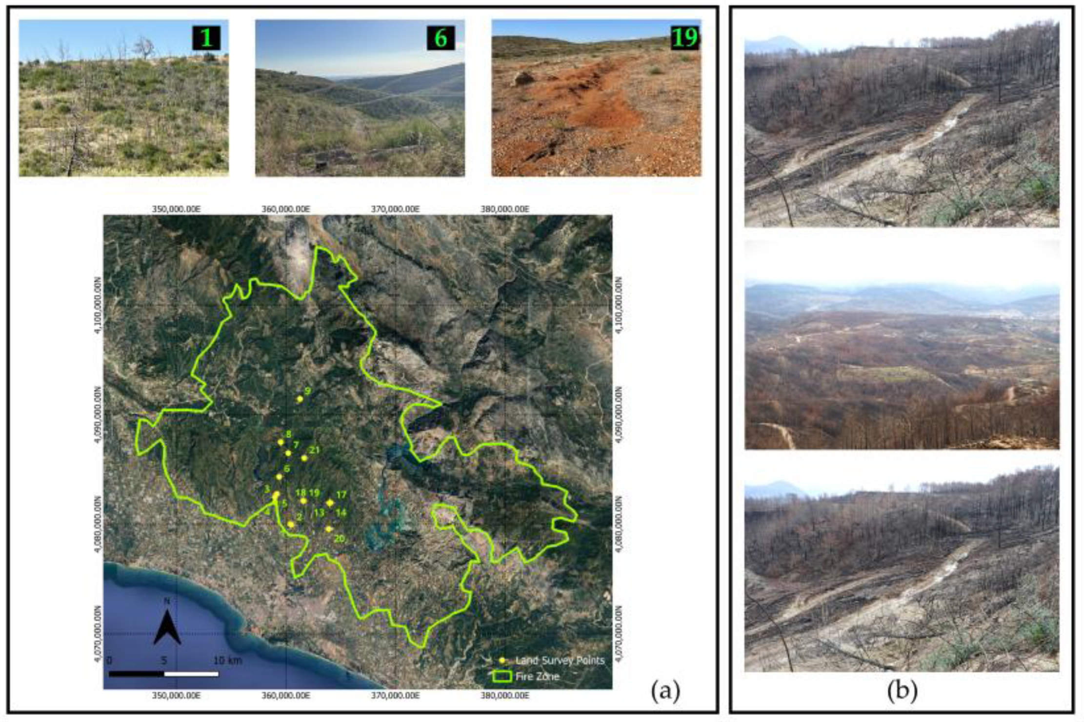 Sustainability 16 01569 g002