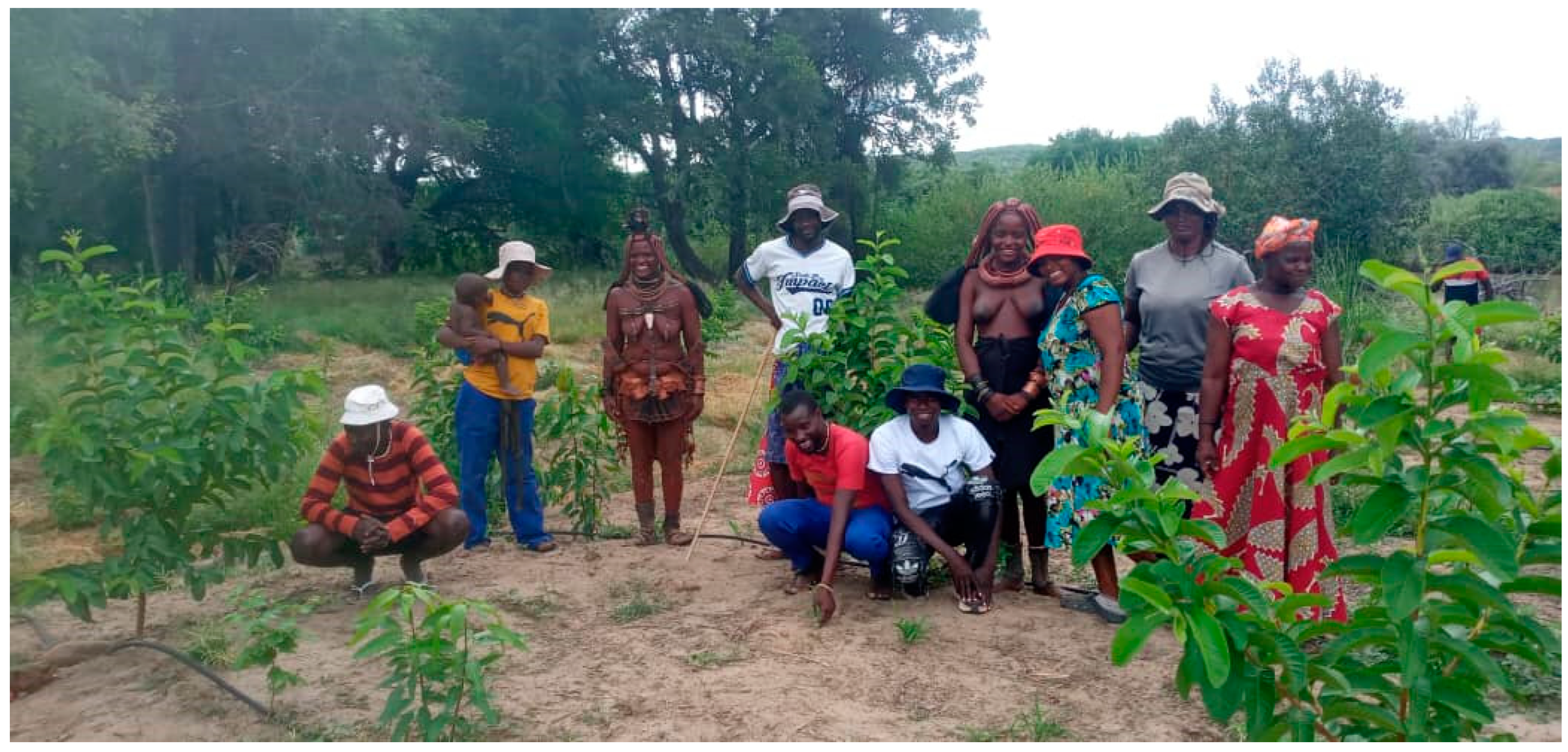 Sustainability 16 01582 g004