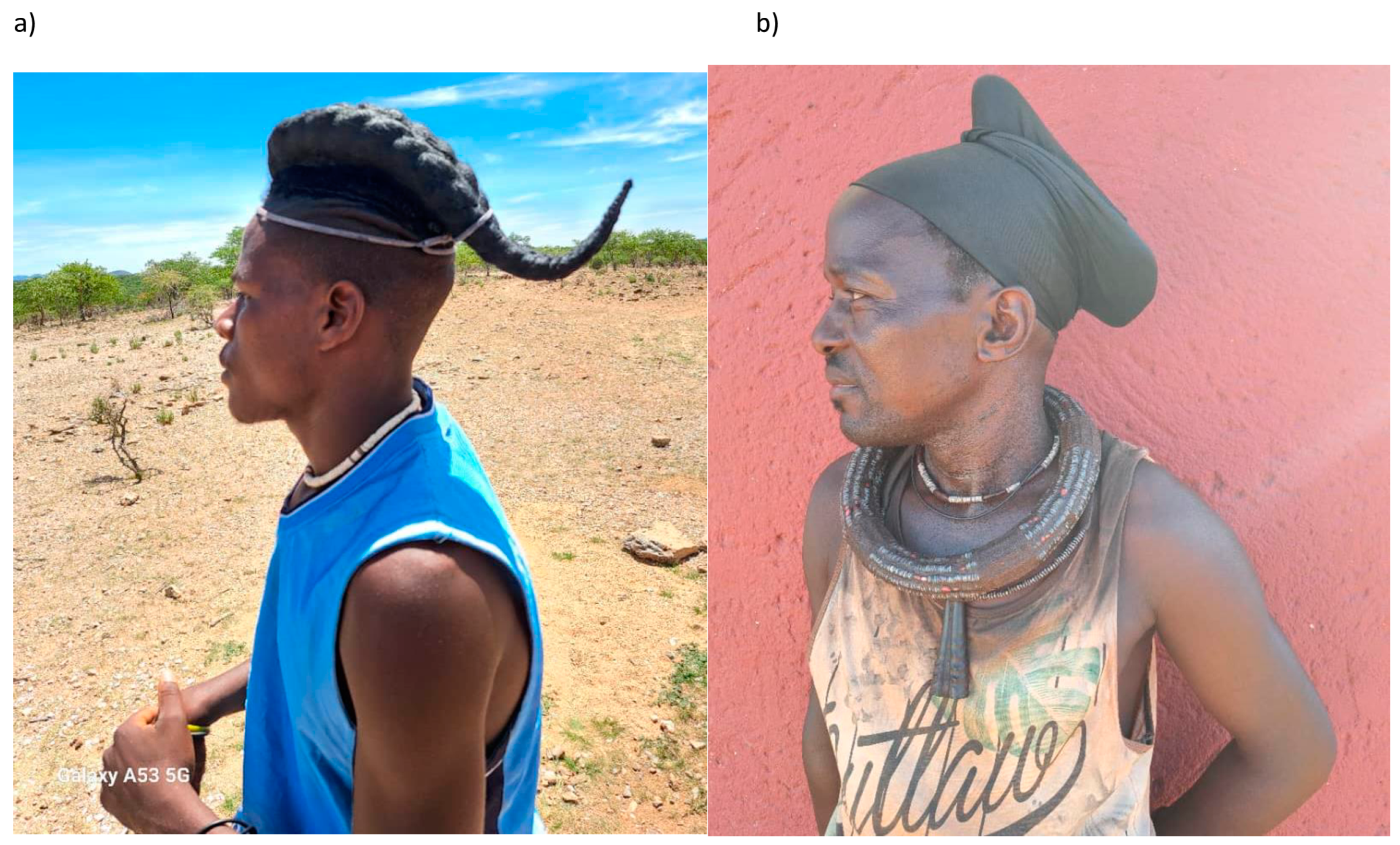 Sustainability 16 01582 g005