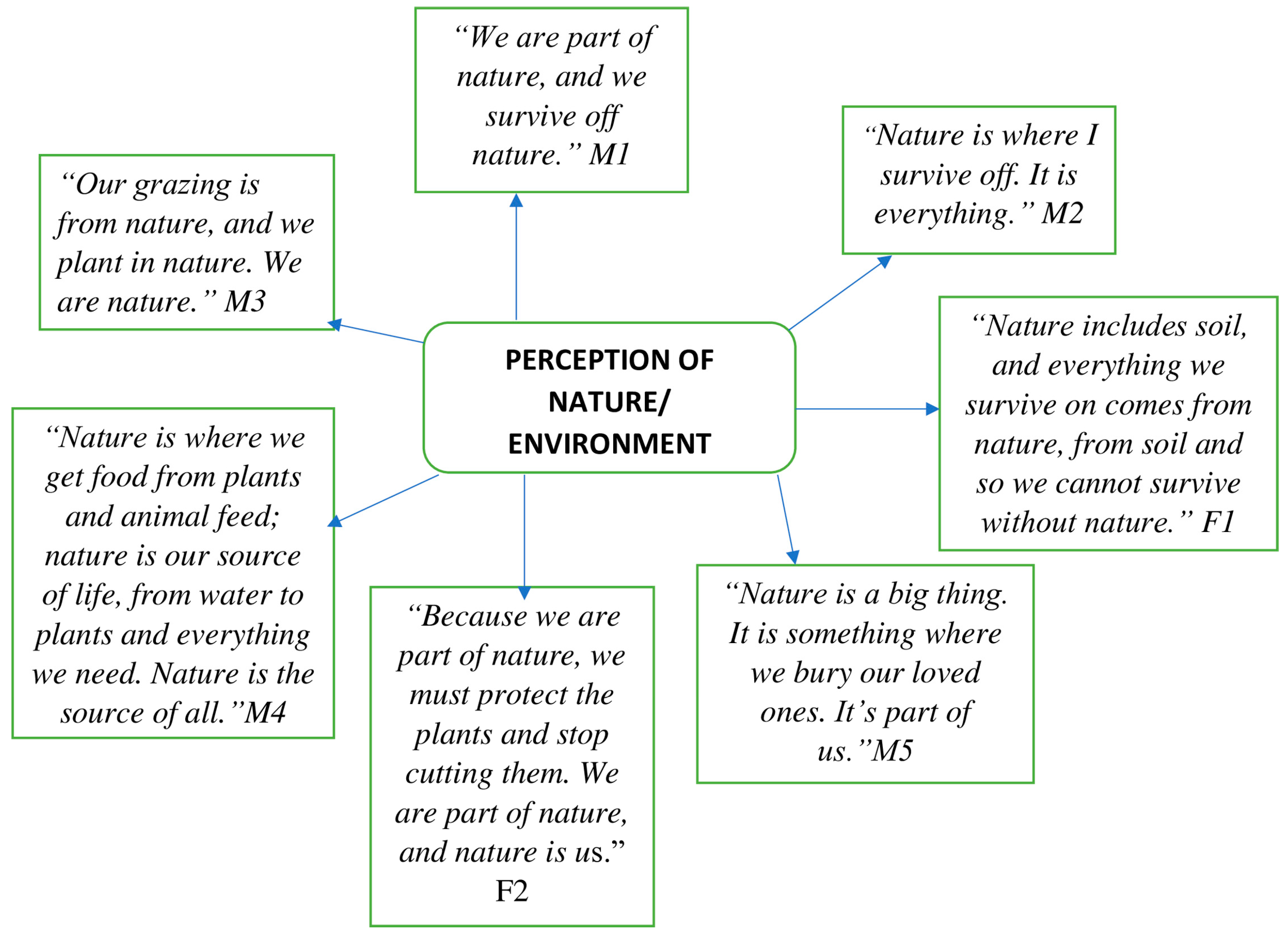 Sustainability 16 01582 g007