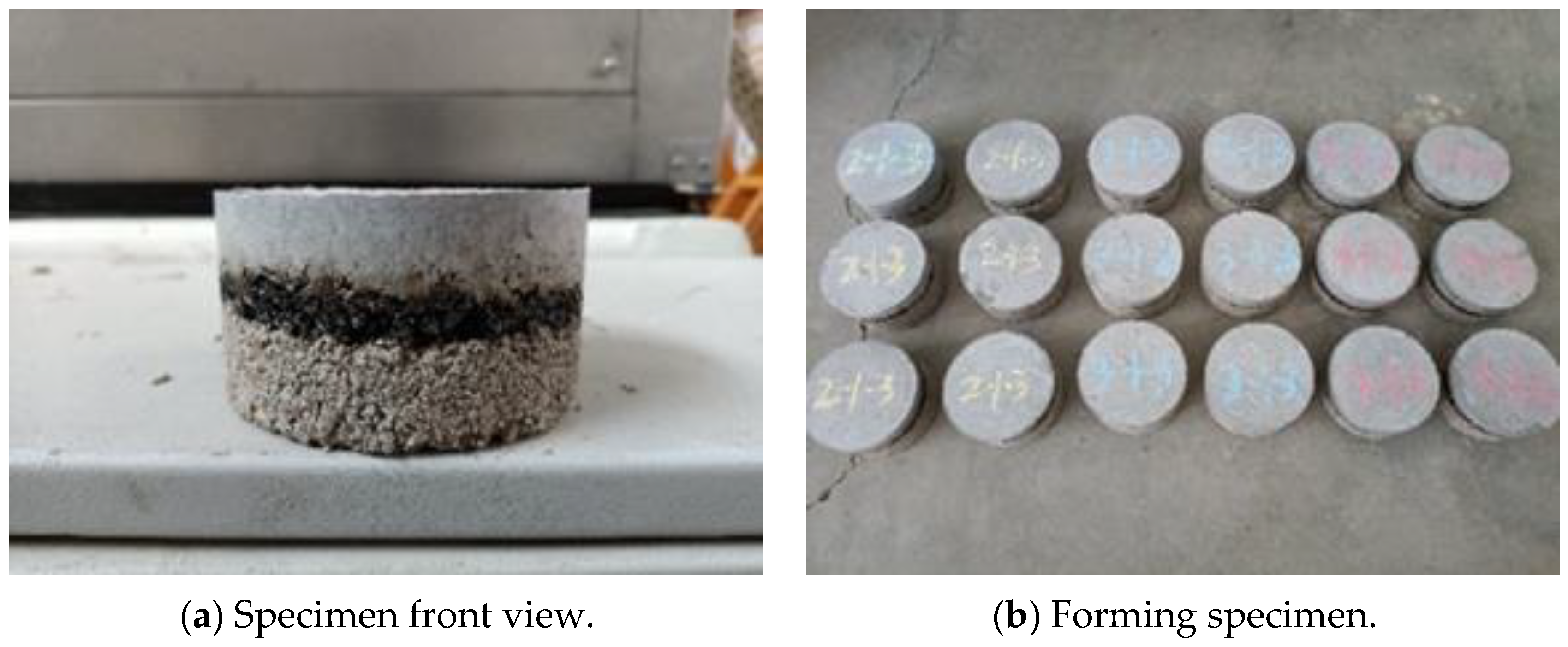 Sustainability 16 01608 g002