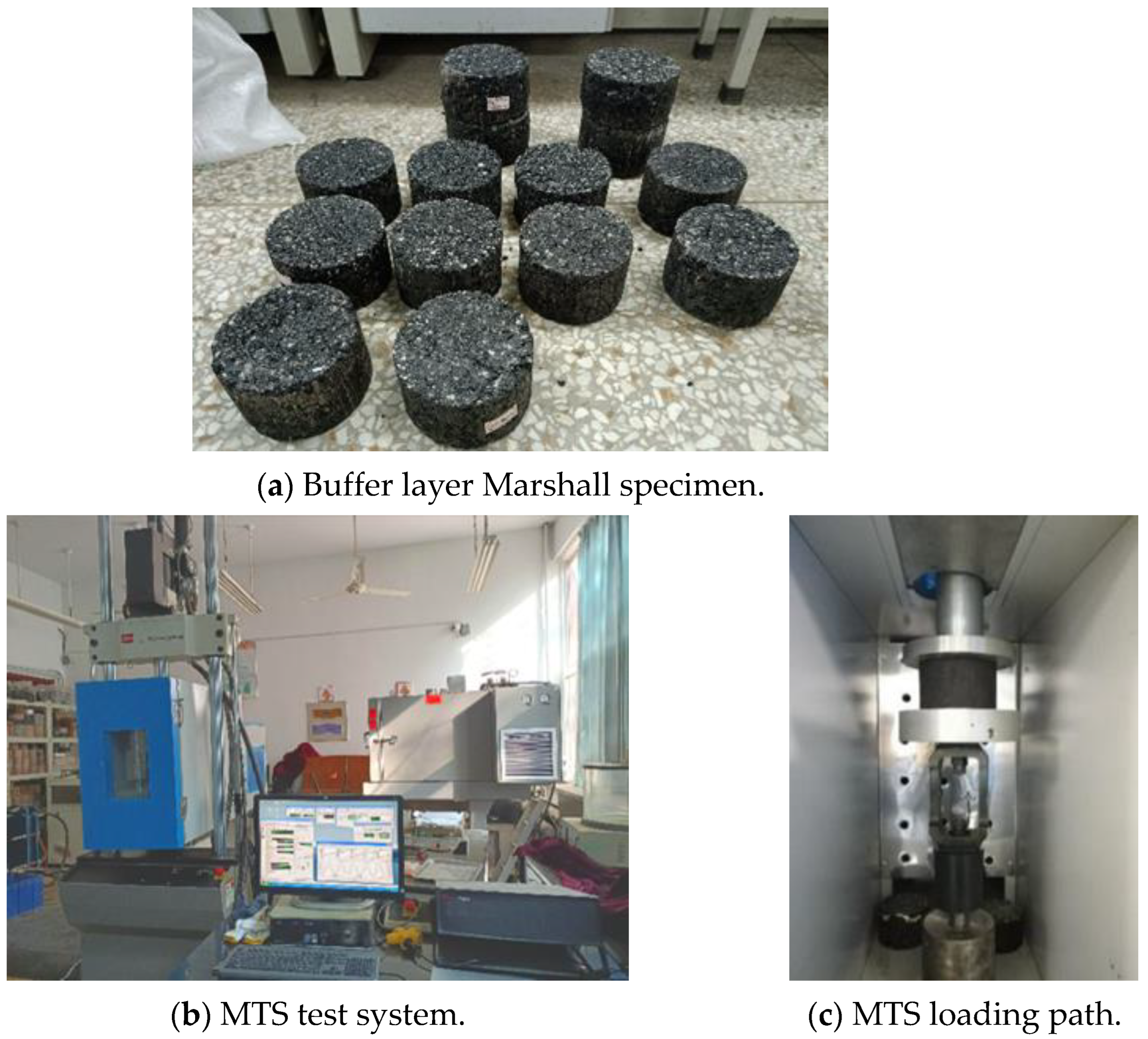 Sustainability 16 01608 g006