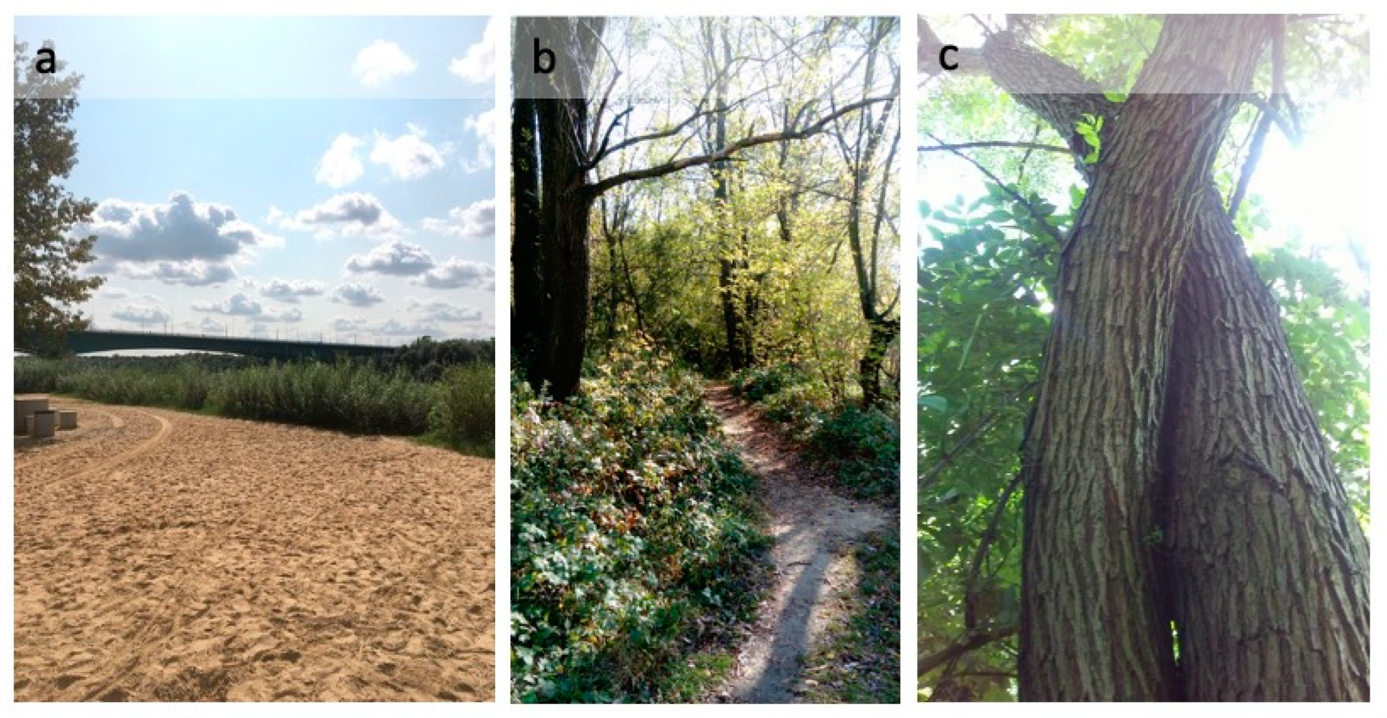 Sustainability 16 01619 g004 Sustainability 16 01619 g004