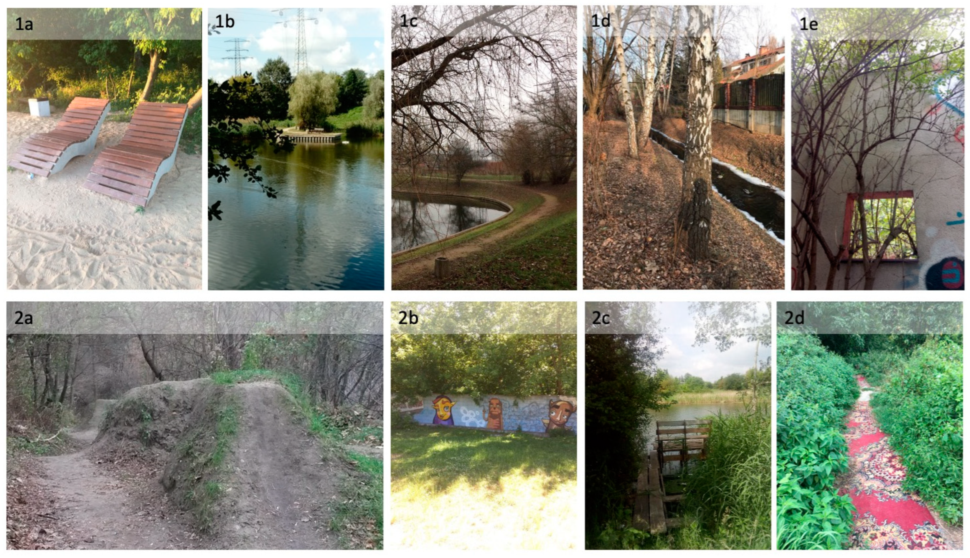 Sustainability 16 01619 g005a Sustainability 16 01619 g005a