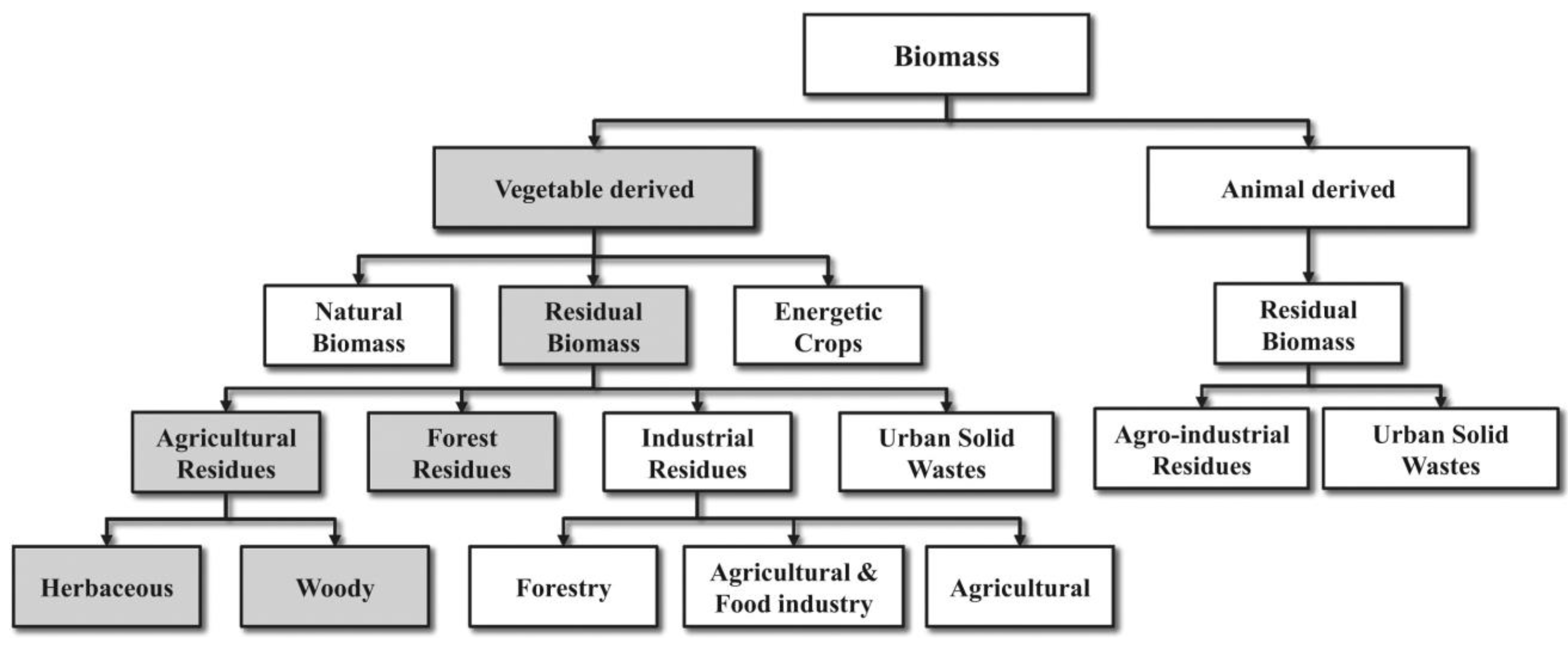 Sustainability 16 01654 g003