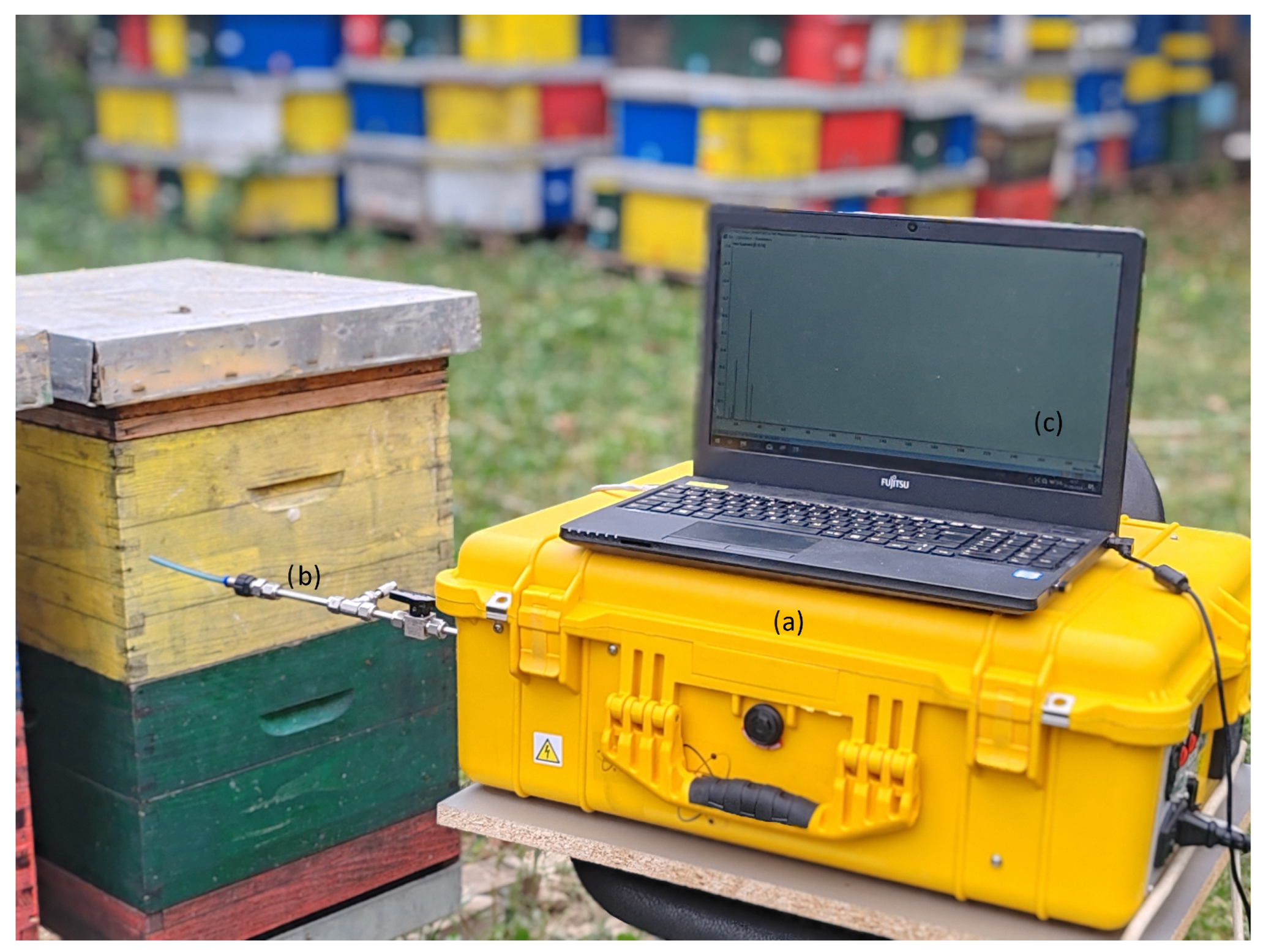 Sustainability 16 01713 g001