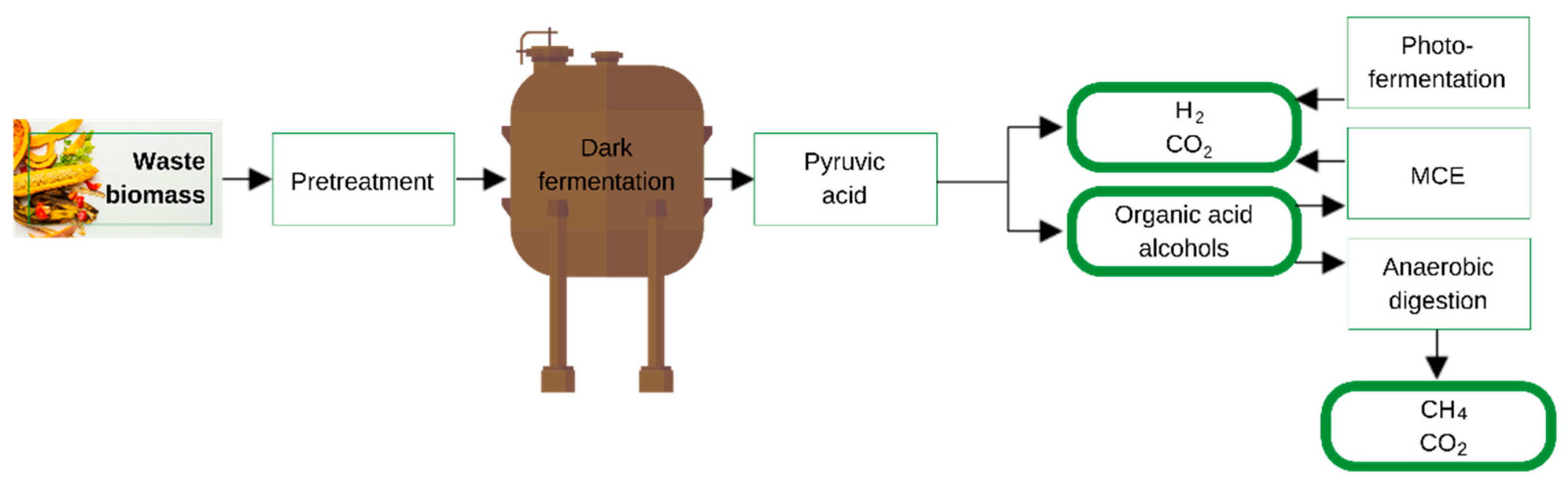 Sustainability 16 01717 g003