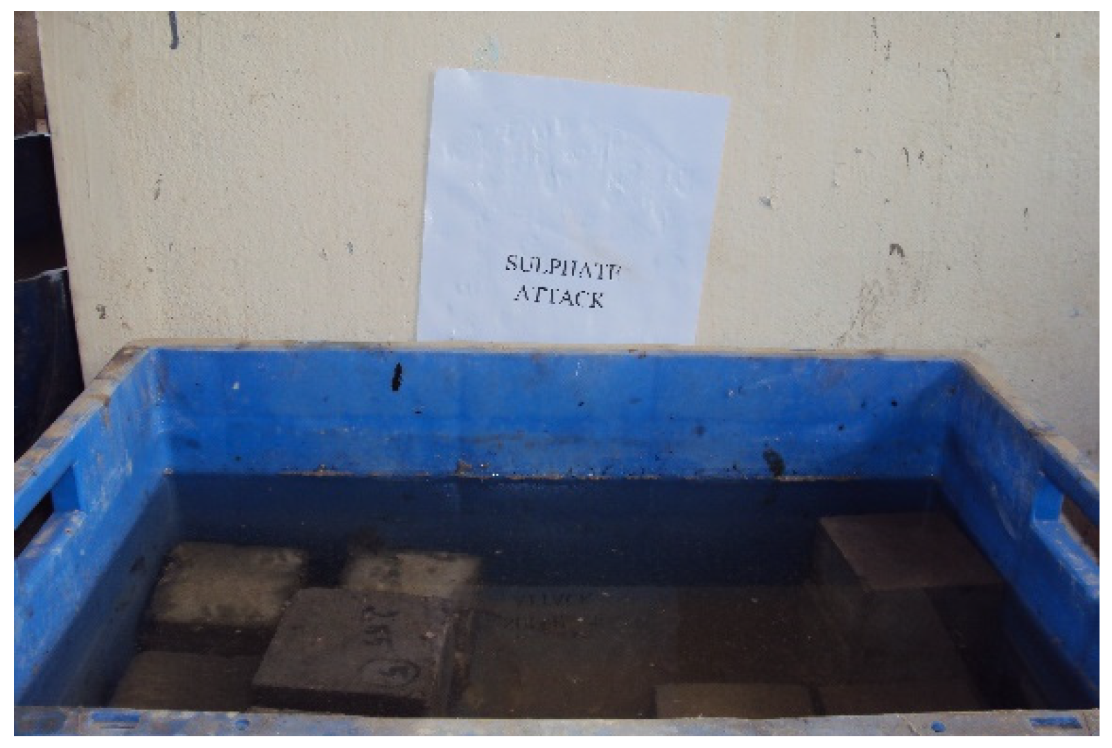 Sustainability 16 01732 g004