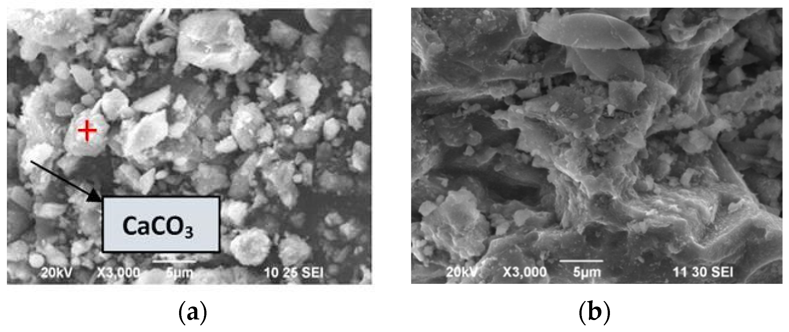Sustainability 16 01732 g018