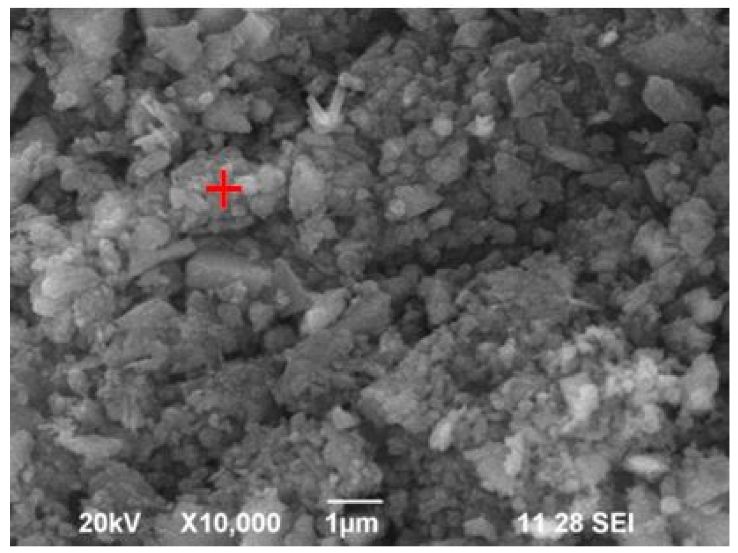 Sustainability 16 01732 g020