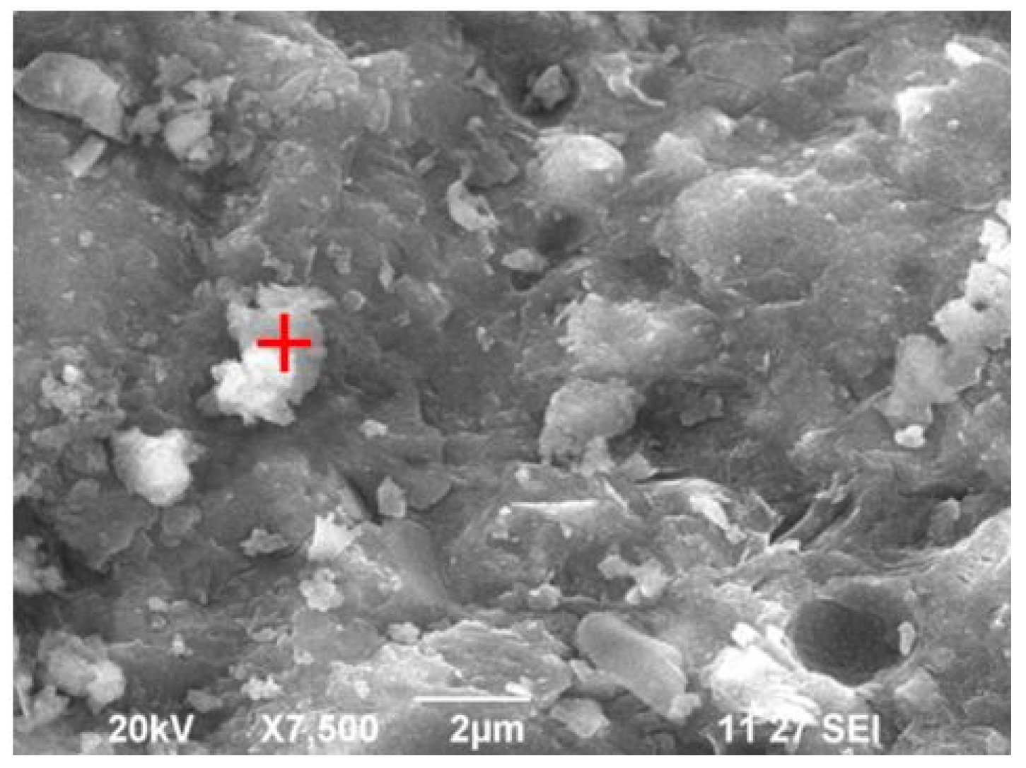 Sustainability 16 01732 g021