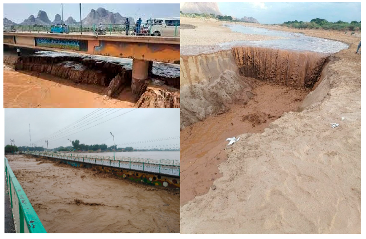 Sustainability 16 01752 g010 Sustainability 16 01752 g010