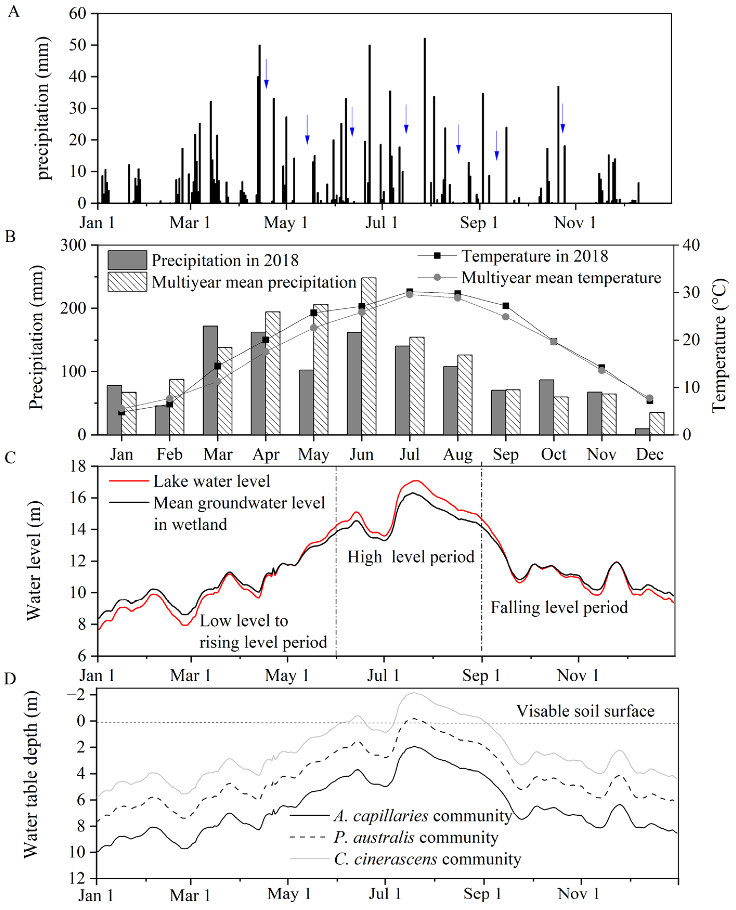 Sustainability 16 01755 g002