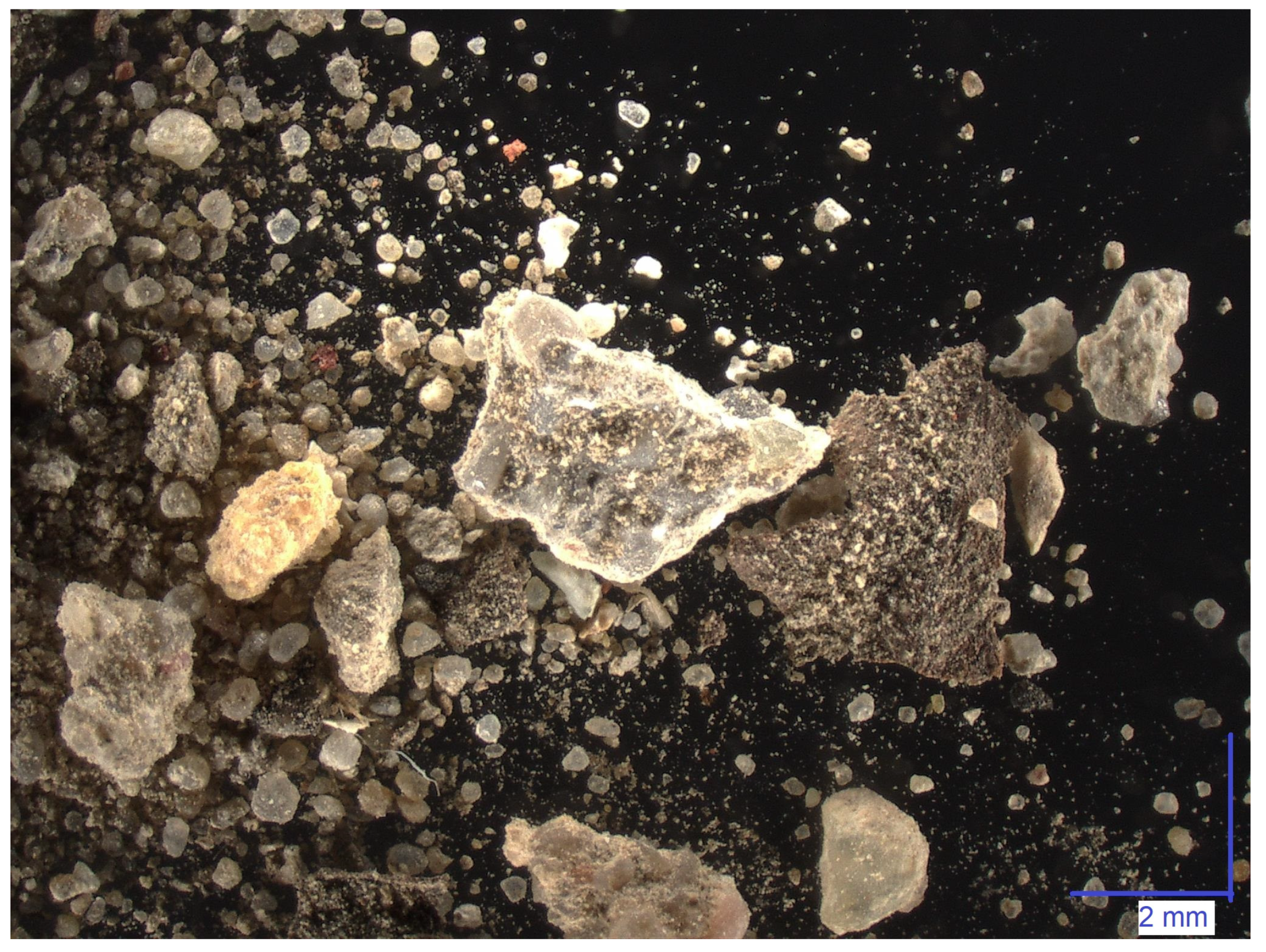 Sustainability 16 01773 g001 Sustainability 16 01773 g001