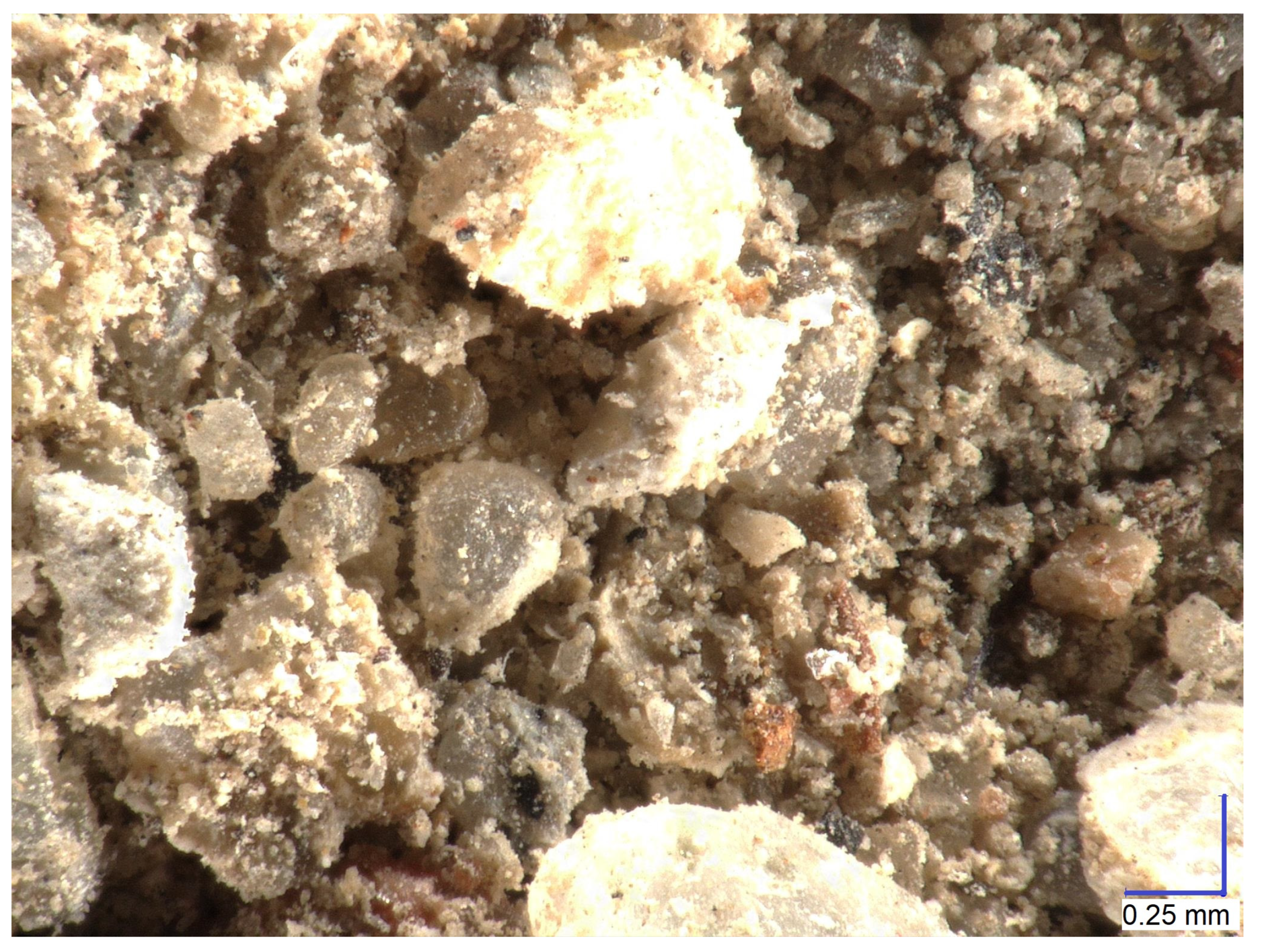 Sustainability 16 01773 g002 Sustainability 16 01773 g002